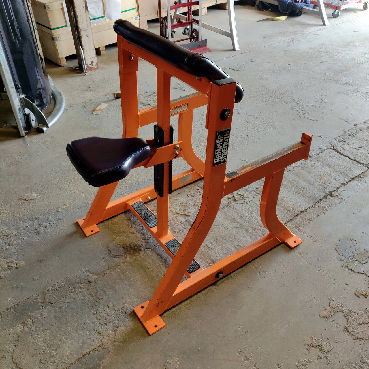 Hammer Strength Preacher Curl