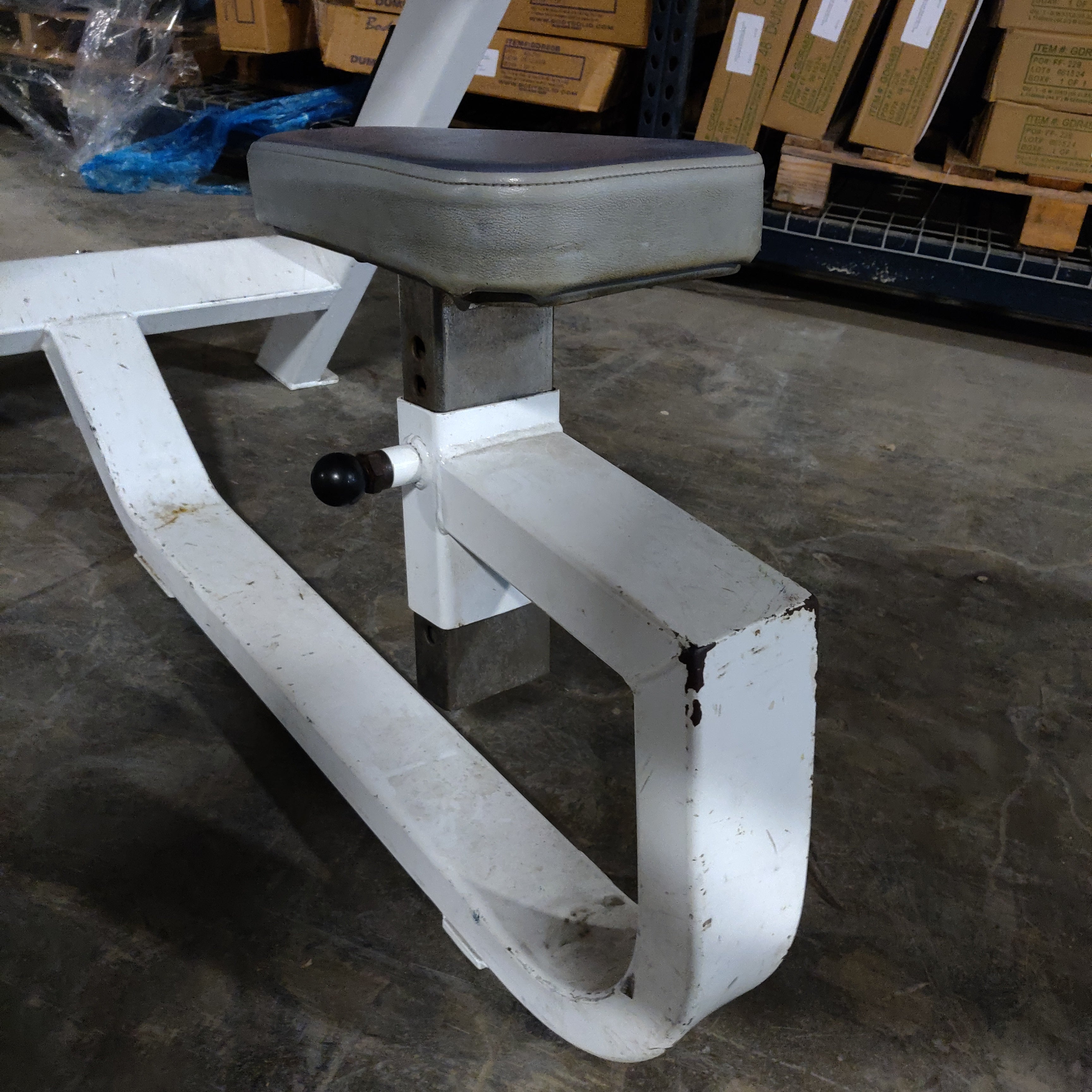 ICARIAN Seated Preacher Arm Curl