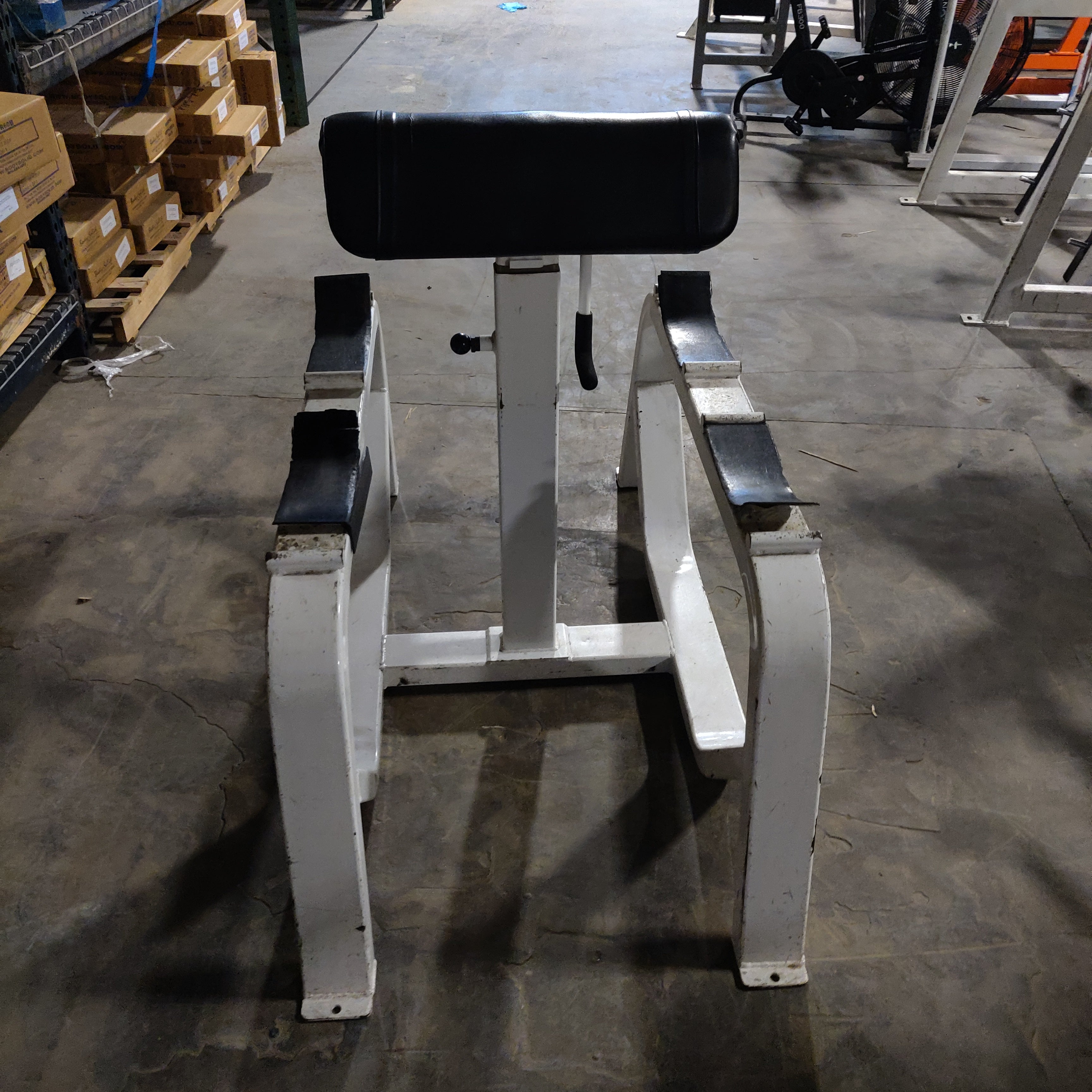 ICARIAN Standing Preacher Curl