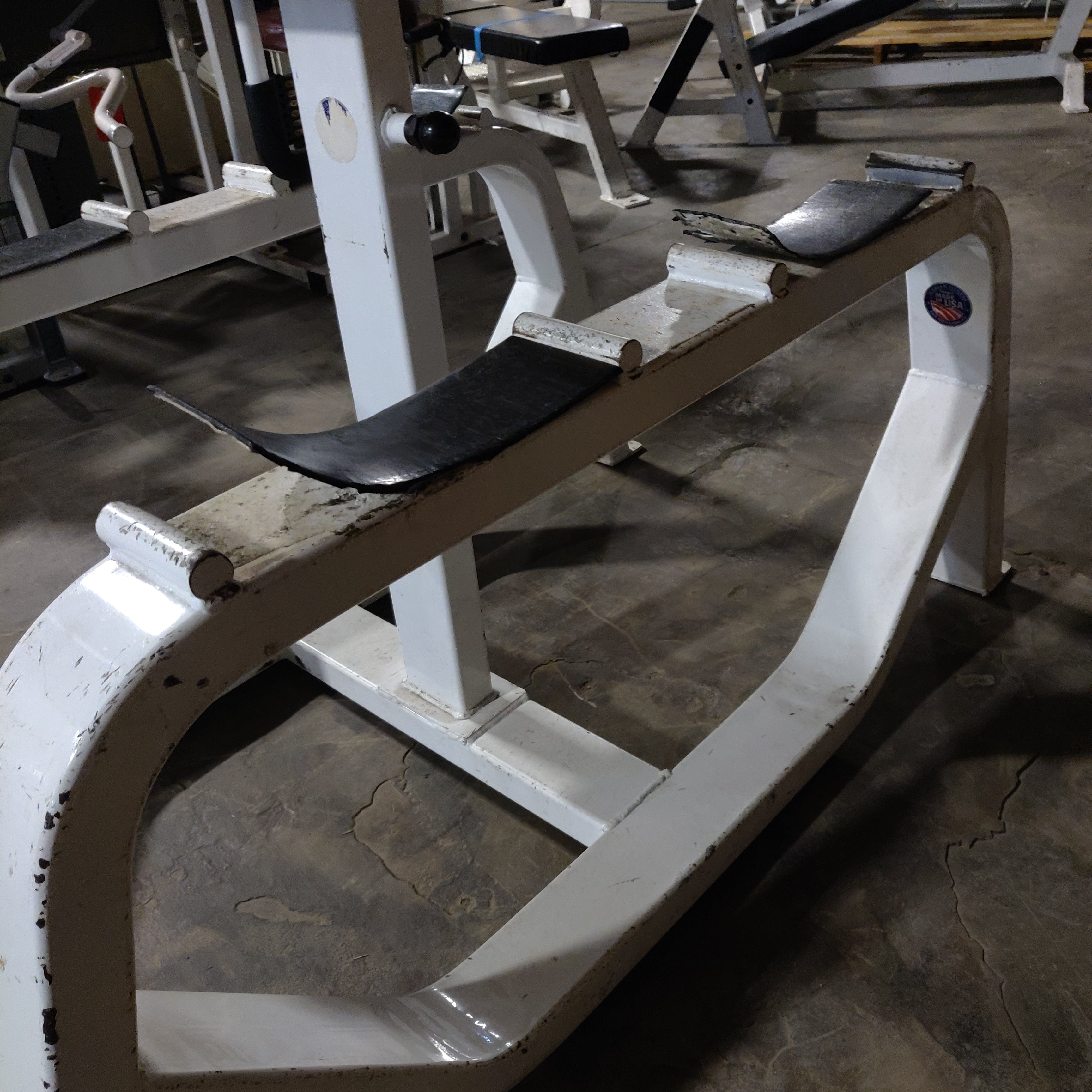 ICARIAN Standing Preacher Curl