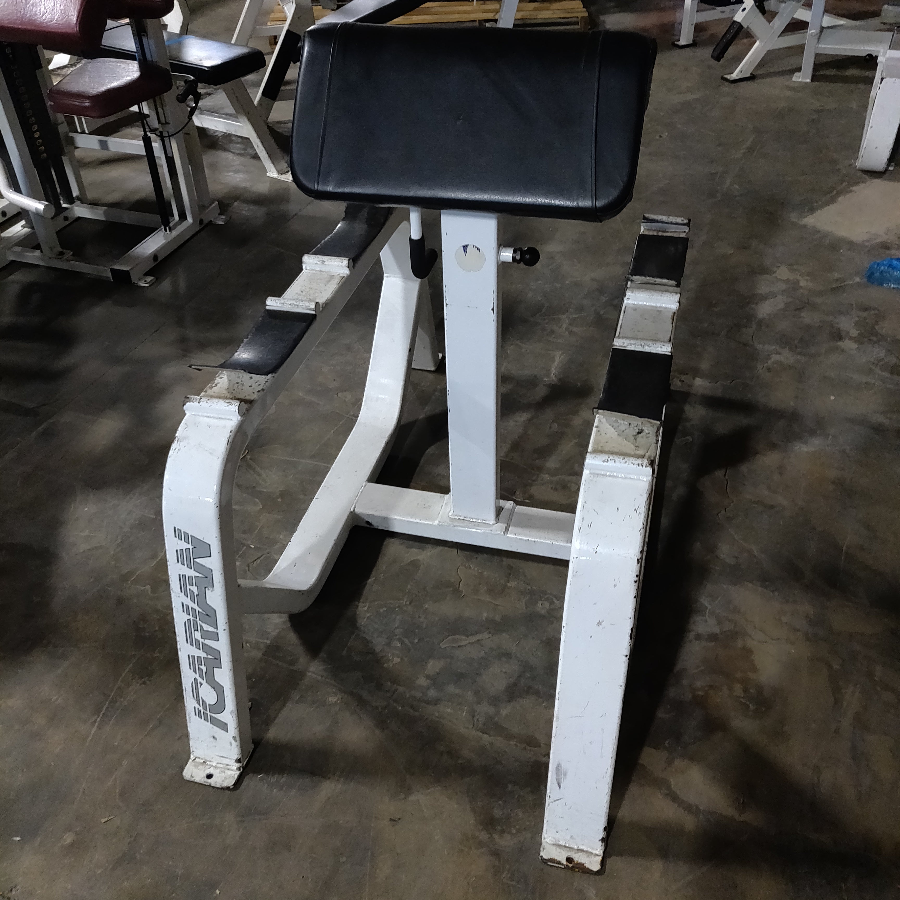 ICARIAN Standing Preacher Curl