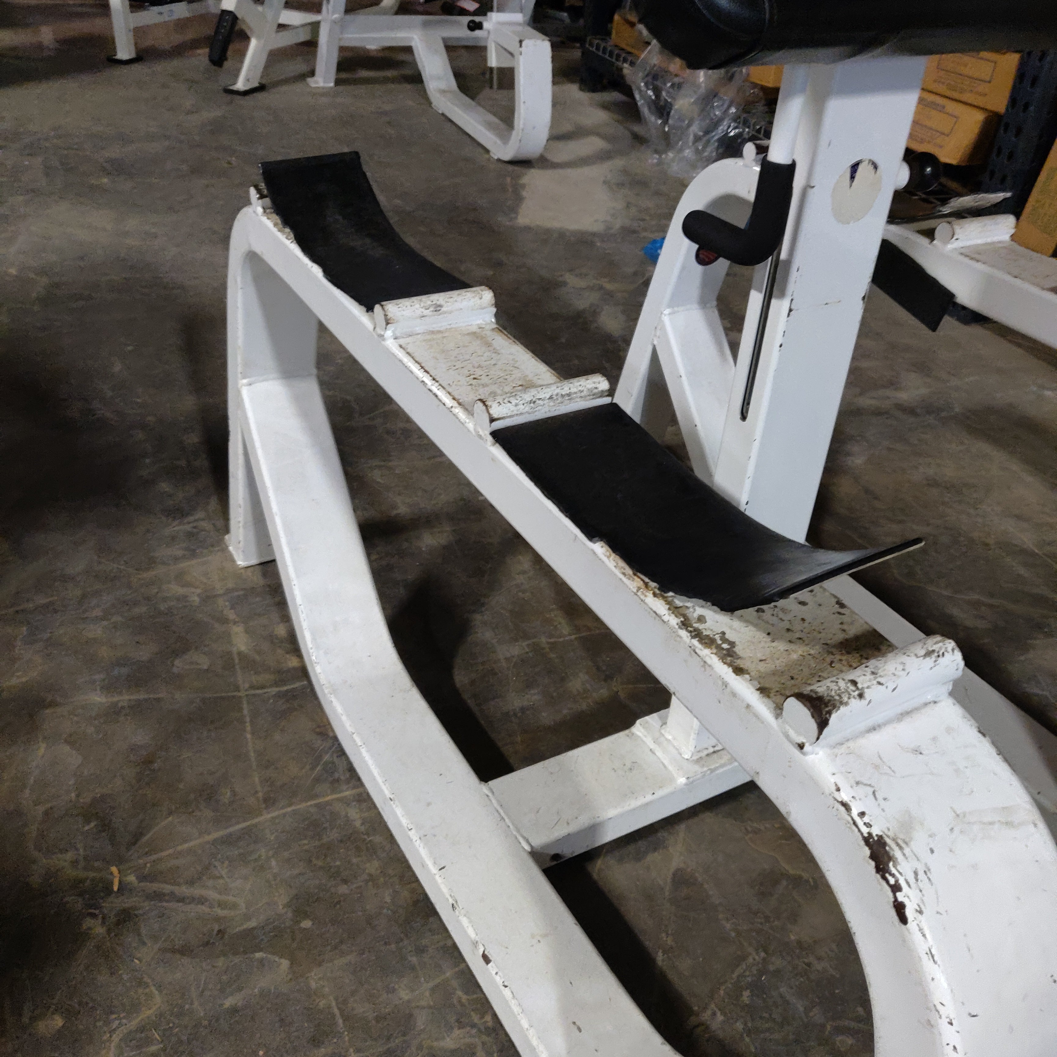 ICARIAN Standing Preacher Curl