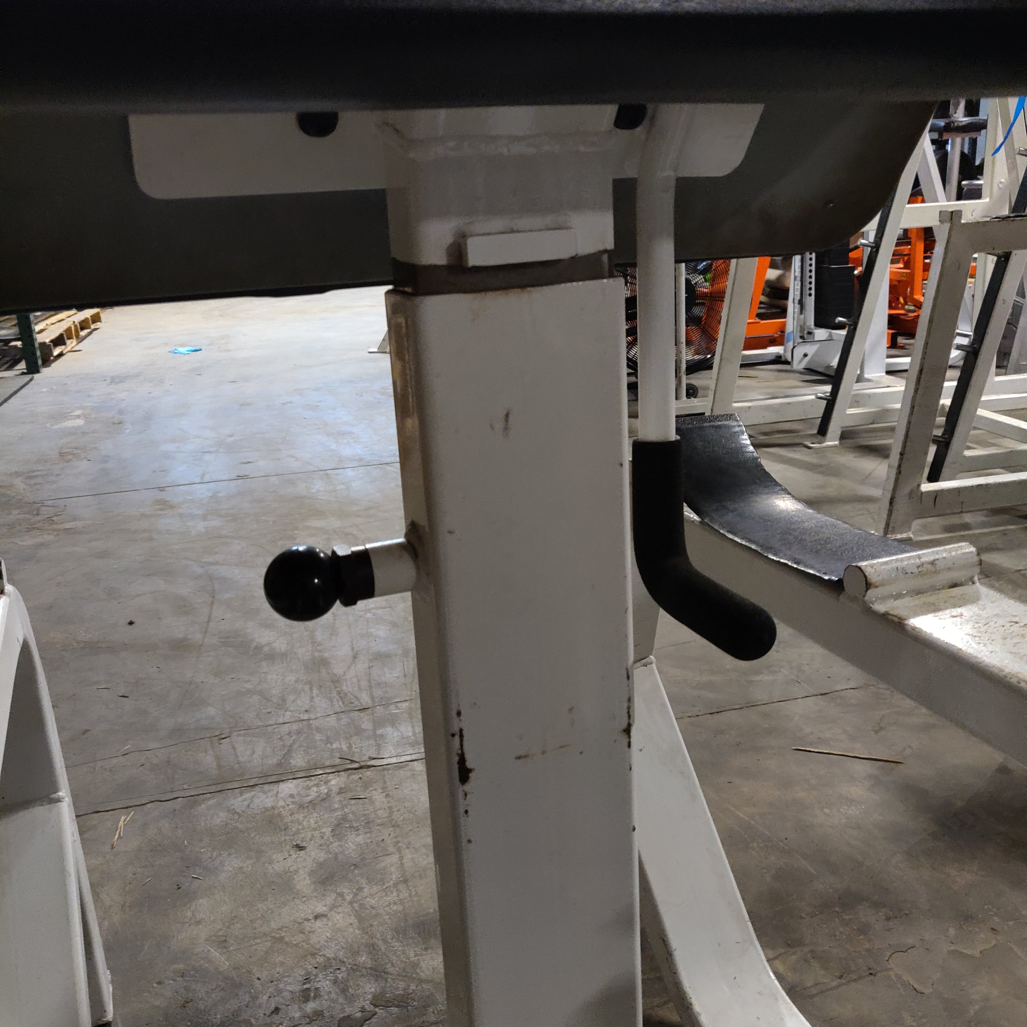 ICARIAN Standing Preacher Curl