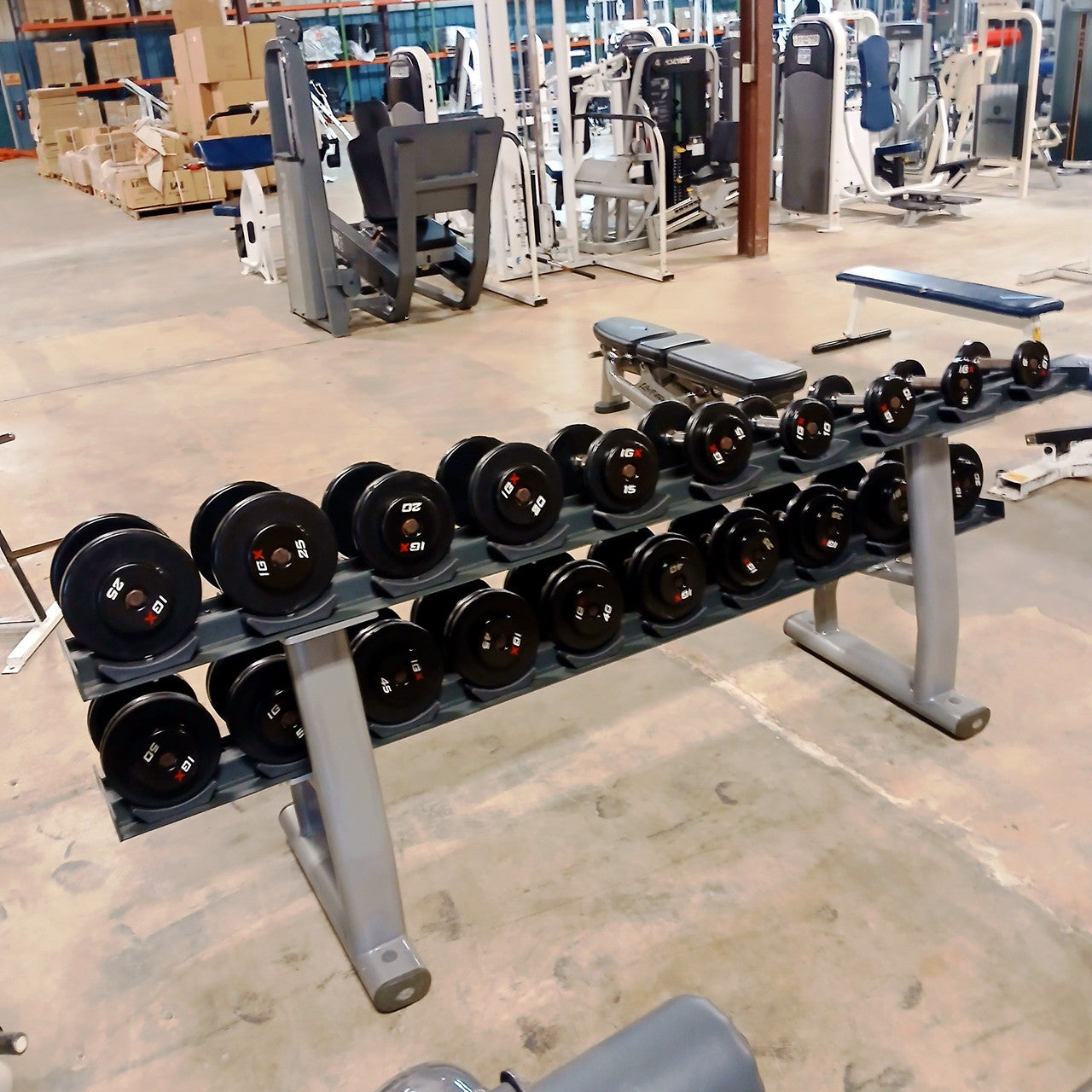 IGX Dumbbell Set 5–50 lbs with Rack – Complete Strength Training Set