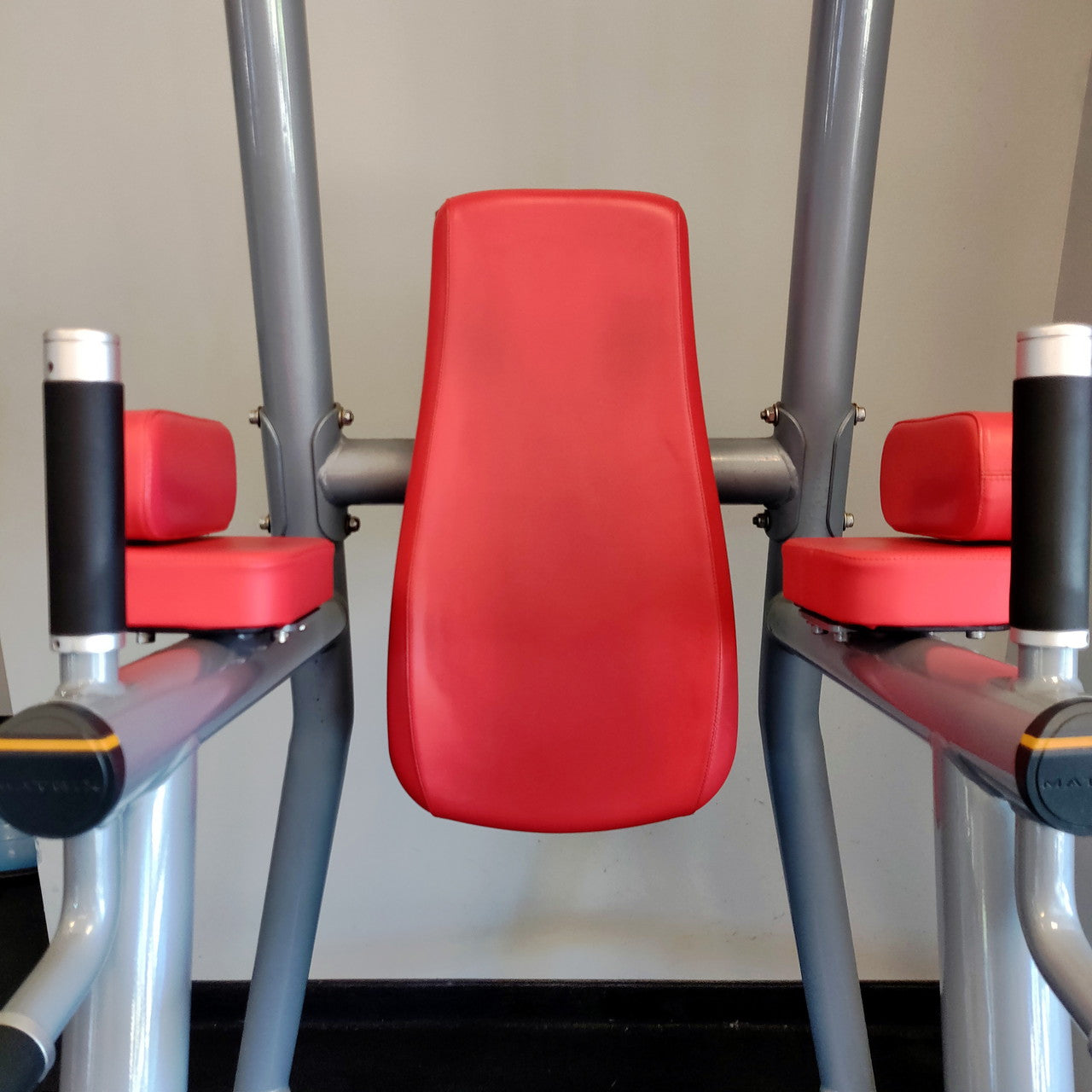 Matrix Magnum Vertical Knee Raise (VKR) w/Chin