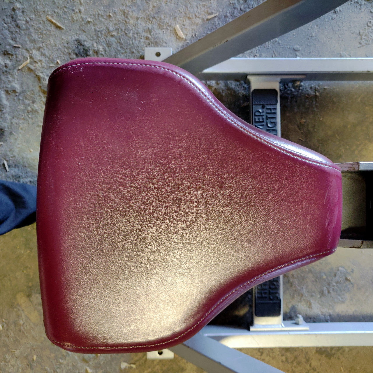 Hammer Strength Preacher Curl Bench