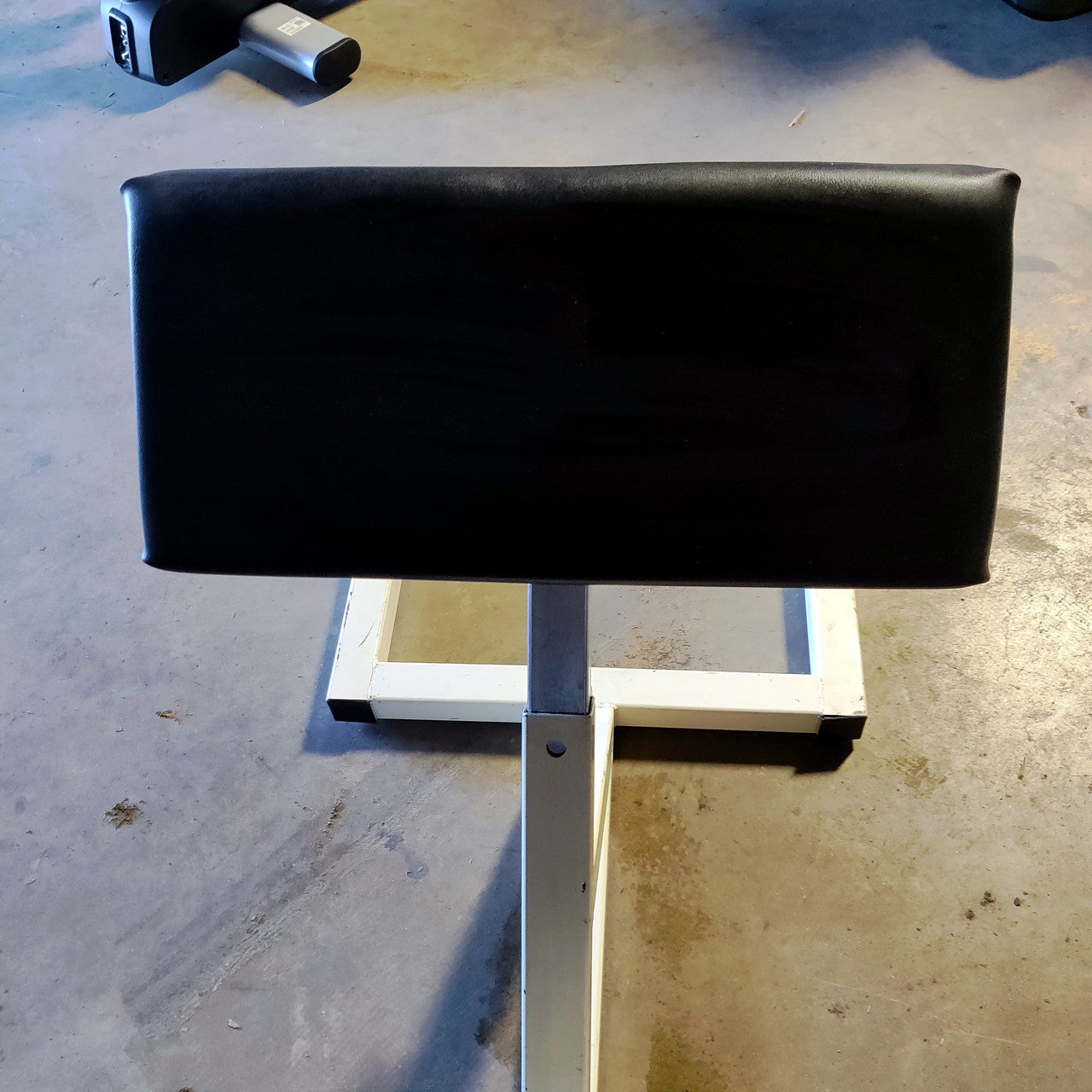 45 Degree Back Extension