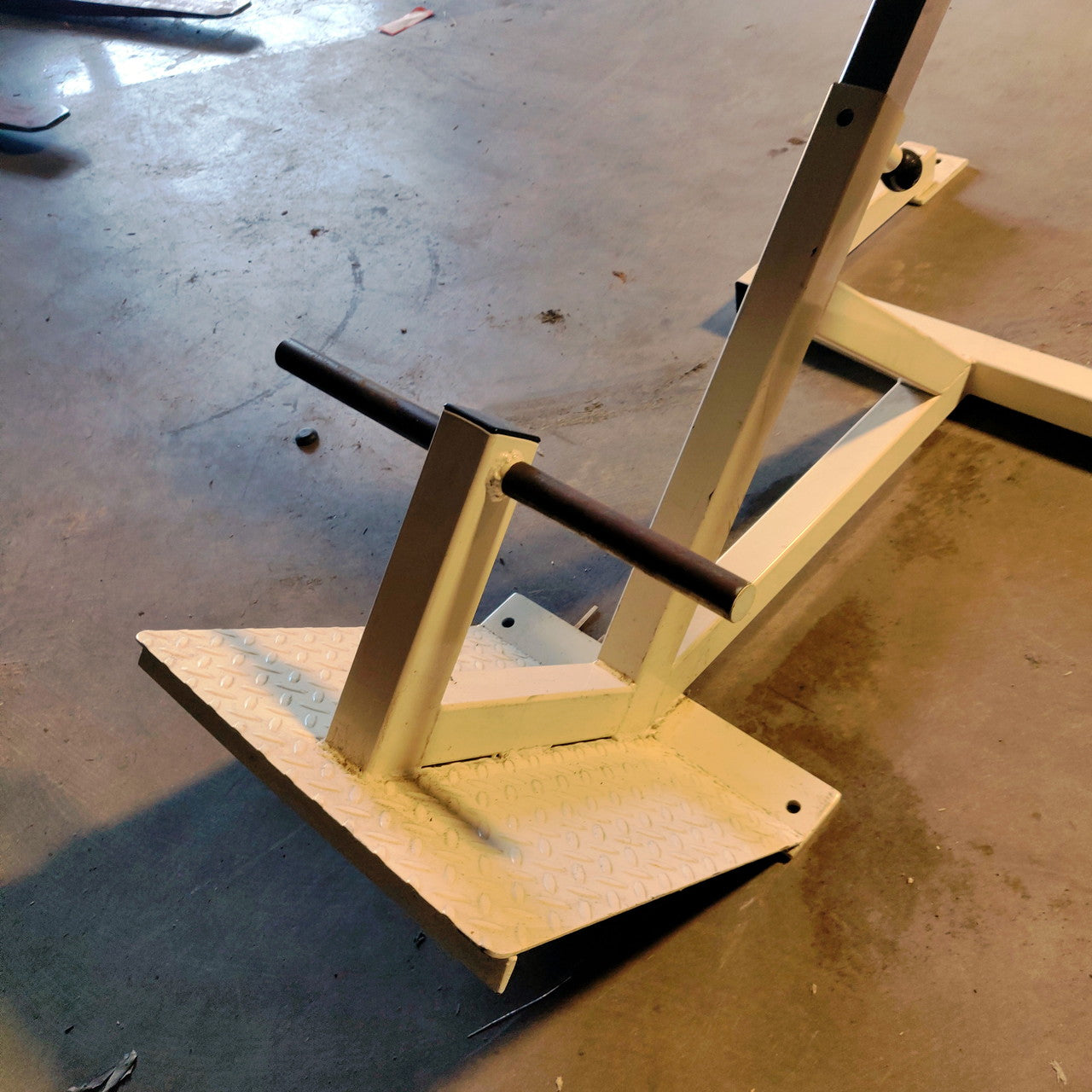 45 Degree Back Extension