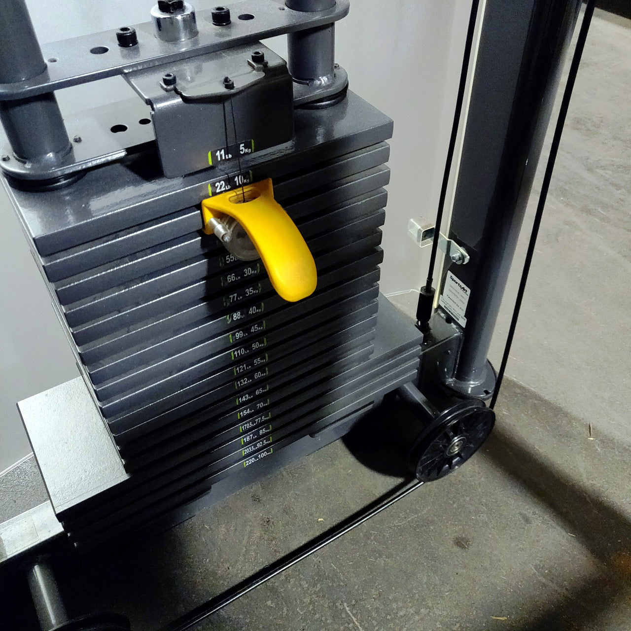 SportsArt DF205 Biceps Curl / Triceps Extension