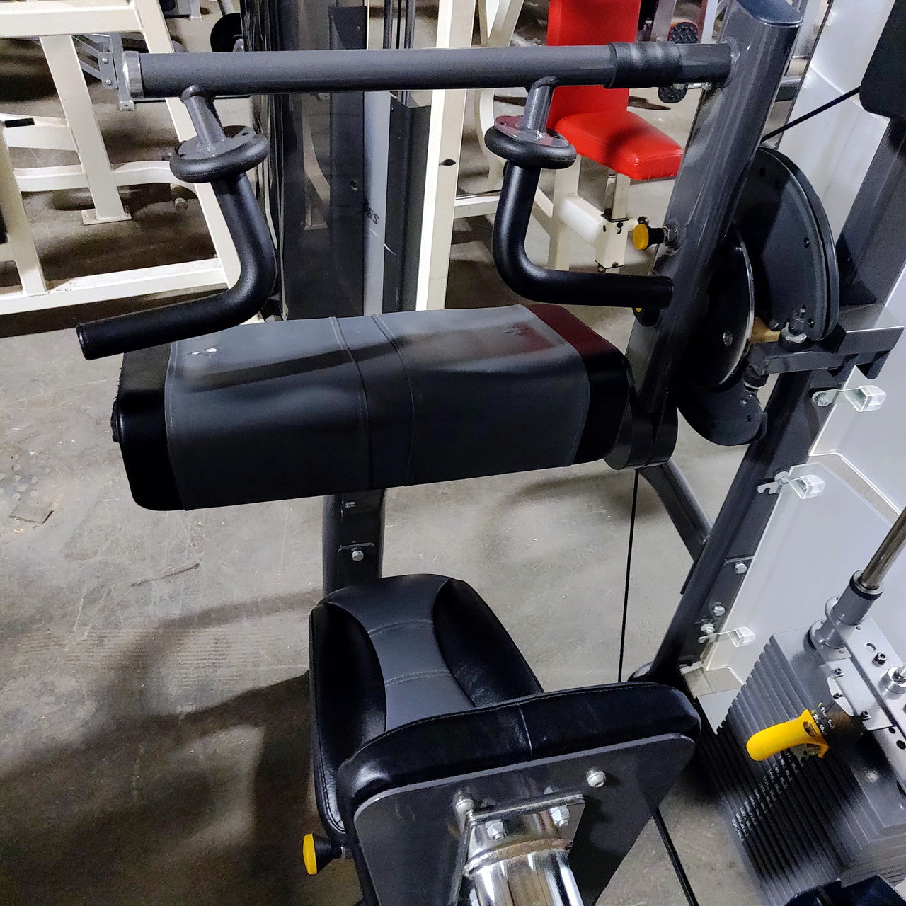 SportsArt DF205 Biceps Curl / Triceps Extension