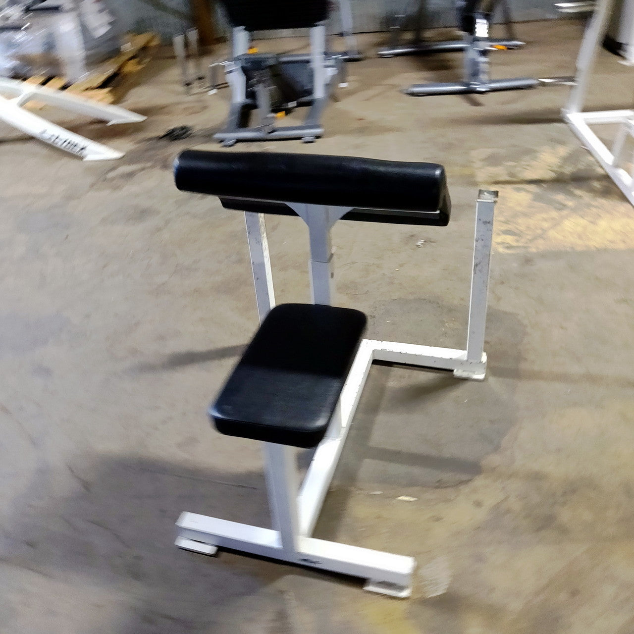 Preacher Curl Bench