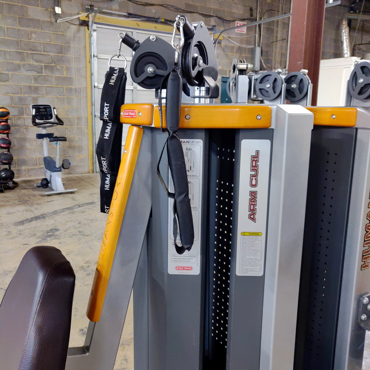 Star Trac Humansport Arm Curl Ab Bench