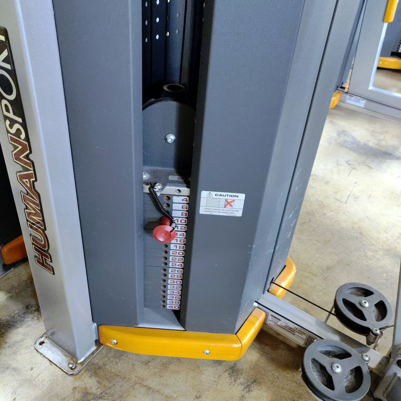 Star Trac Humansport Arm Curl Ab Bench