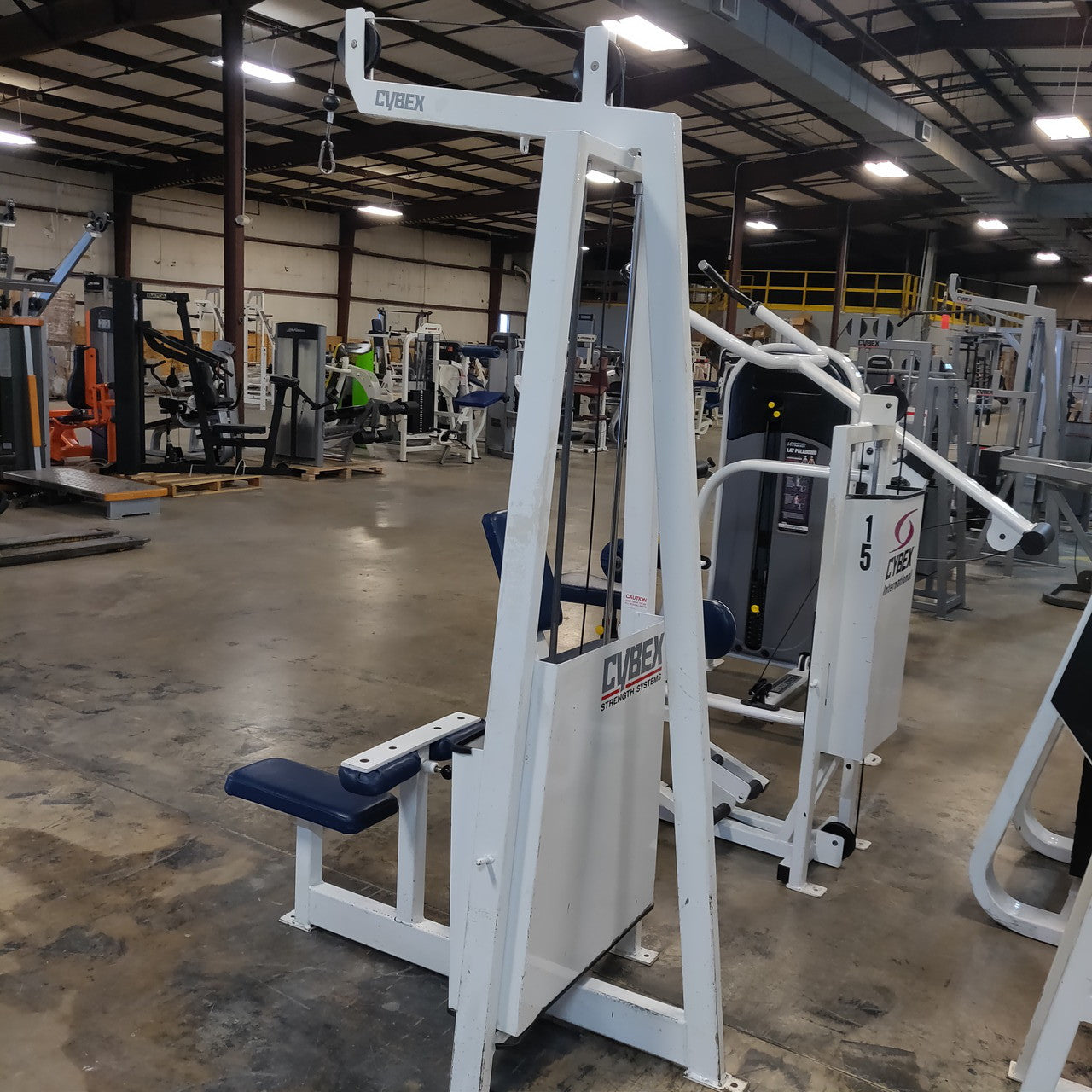 Cybex Classic Lat Pull Down