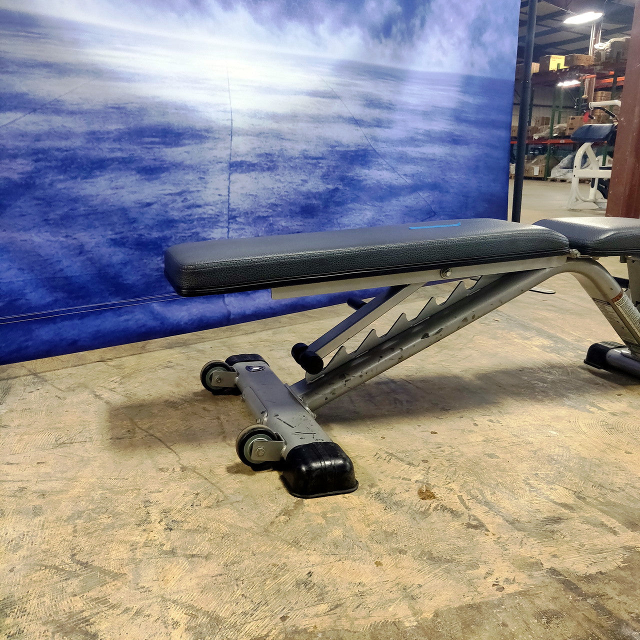 Flat to Incline Commercial Weight Bench
