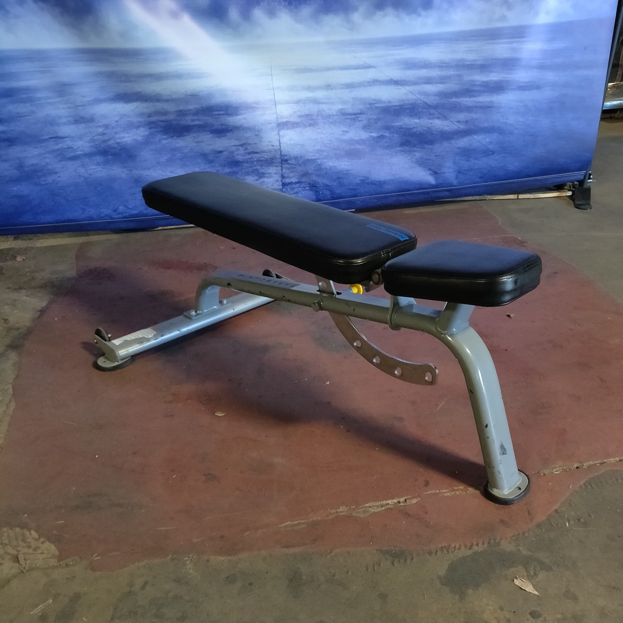 Paramount Multi-Adjustable Bench