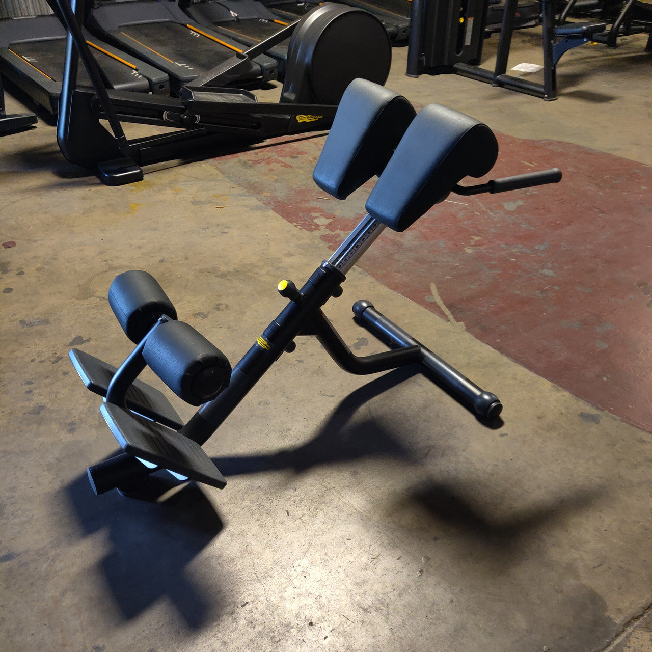 Technogym Lower Back Bench/45 degree back Extension