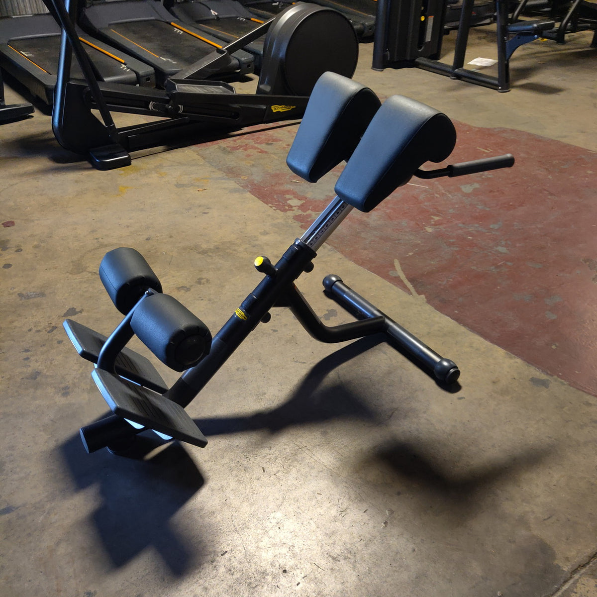 Technogym Lower Back Bench/45 degree back Extension