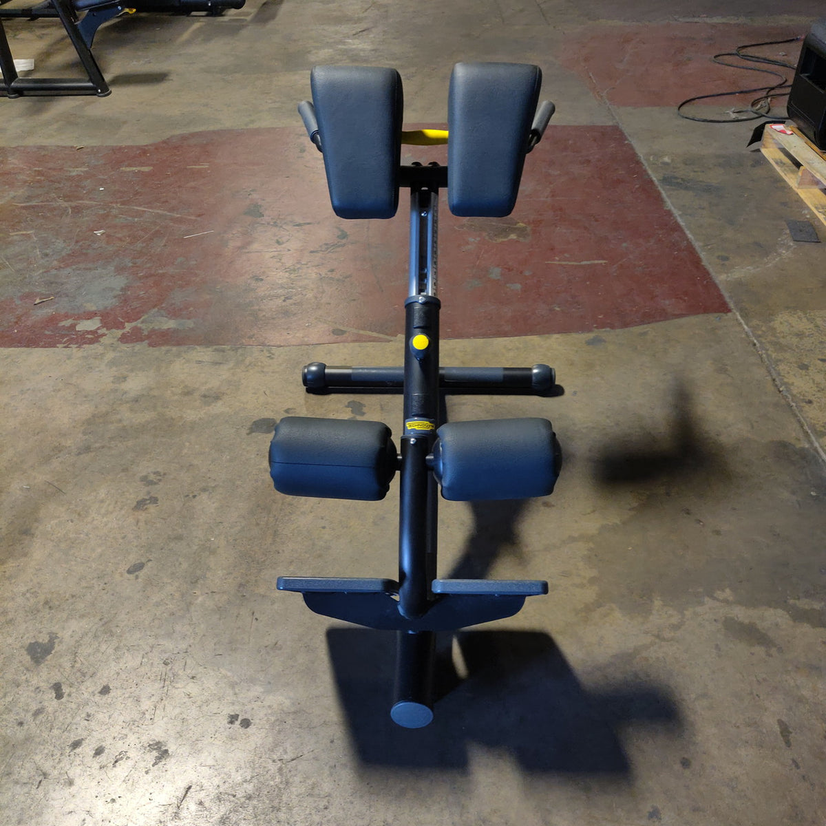 Technogym Lower Back Bench/45 degree back Extension