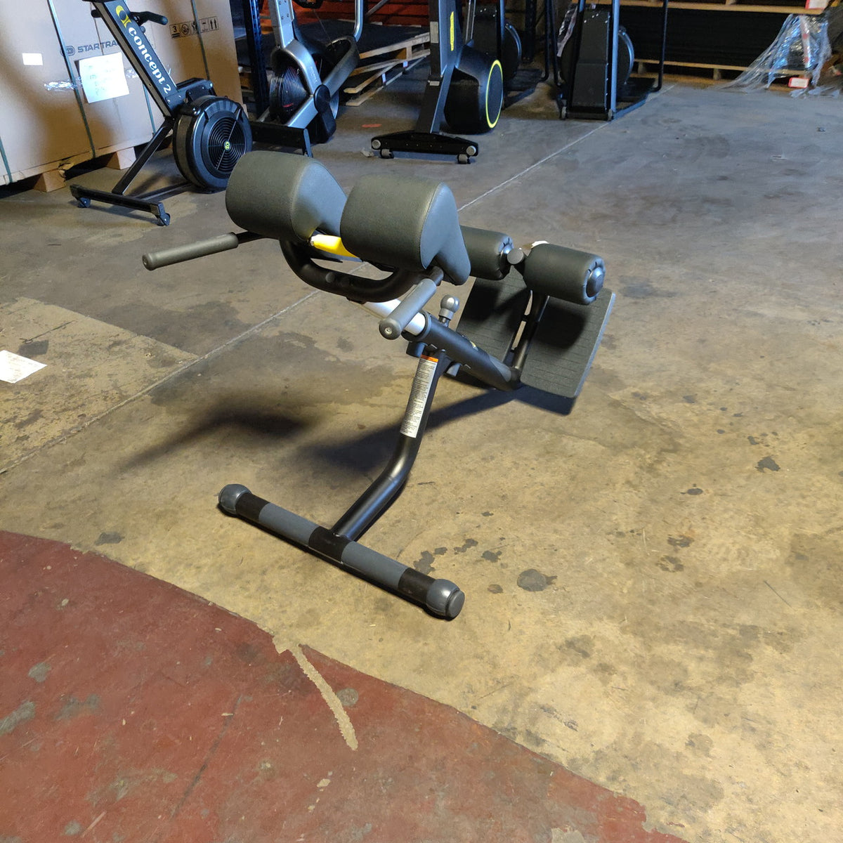 Technogym Lower Back Bench/45 degree back Extension