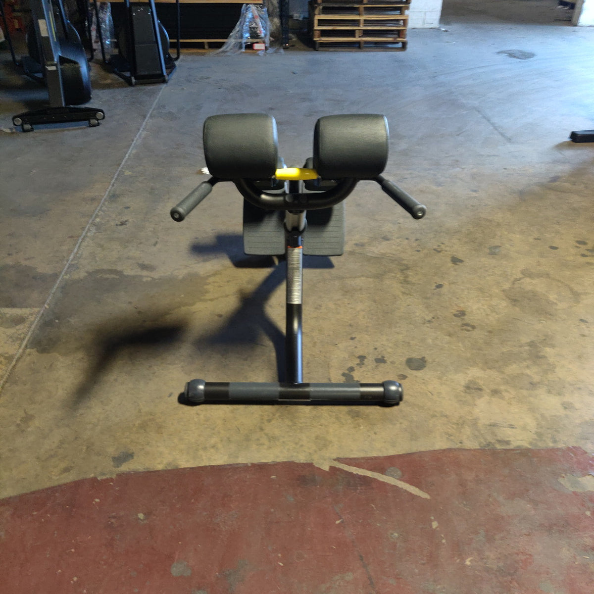 Technogym Lower Back Bench/45 degree back Extension