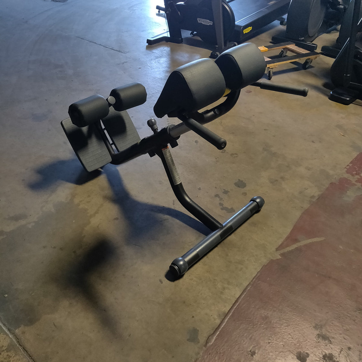 Technogym Lower Back Bench/45 degree back Extension