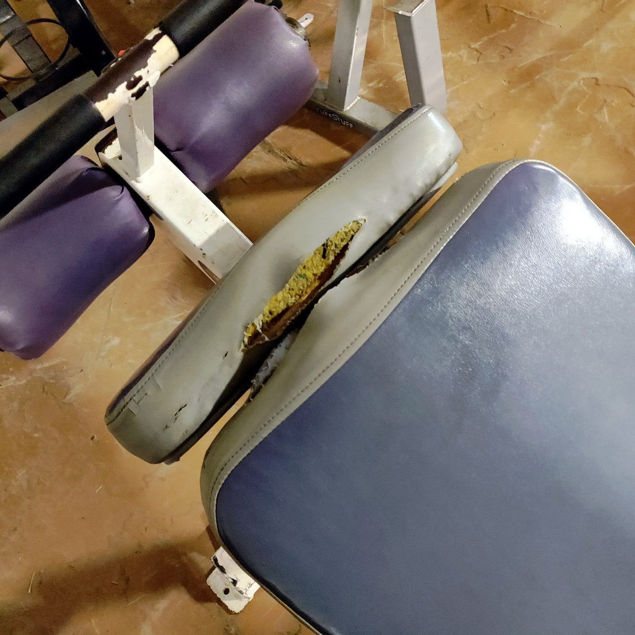 Icarian Decline Weight Bench