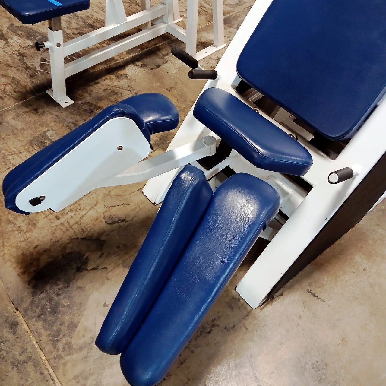 Icarian Hip Adductor