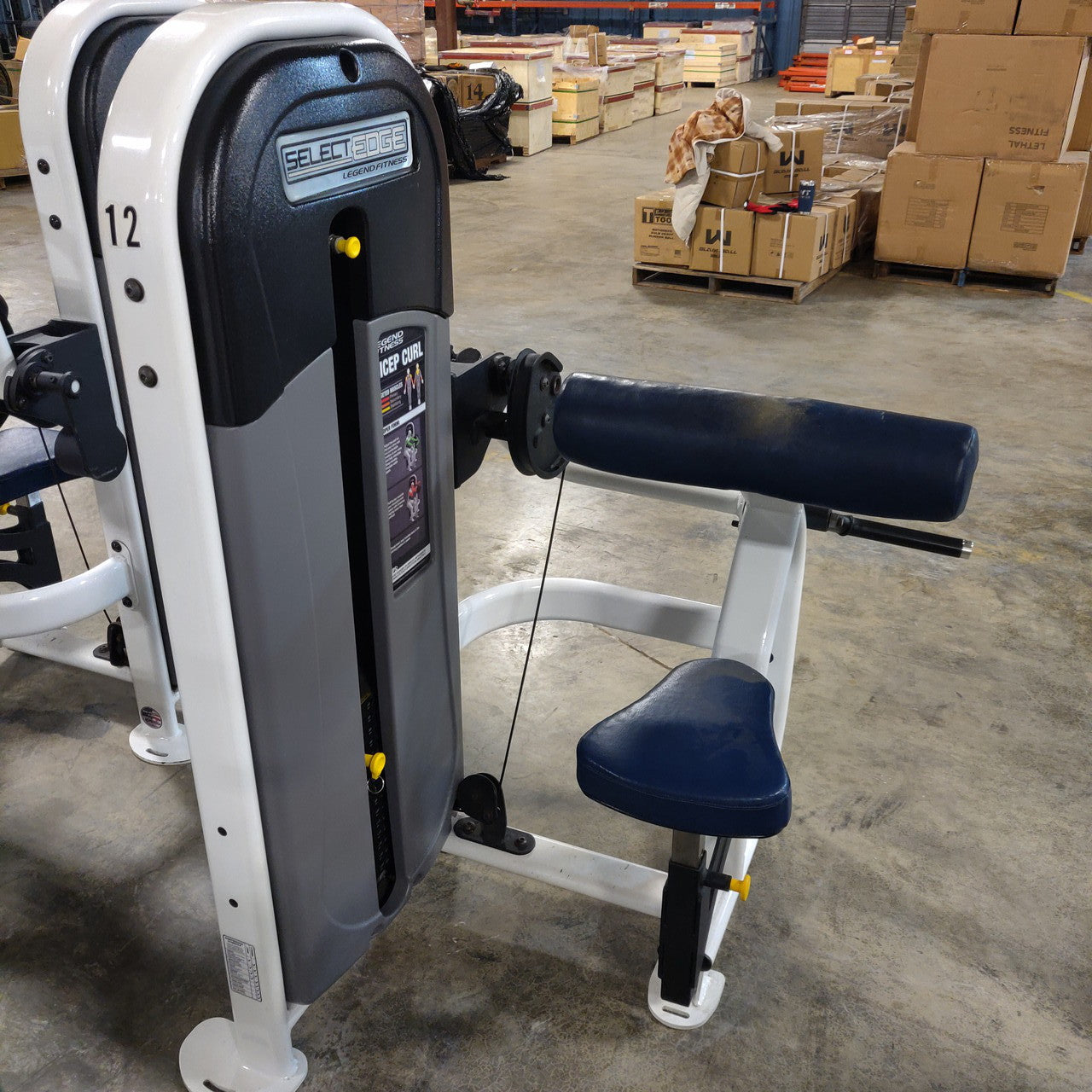 Legend Fitness SelectEDGE Bicep Curl