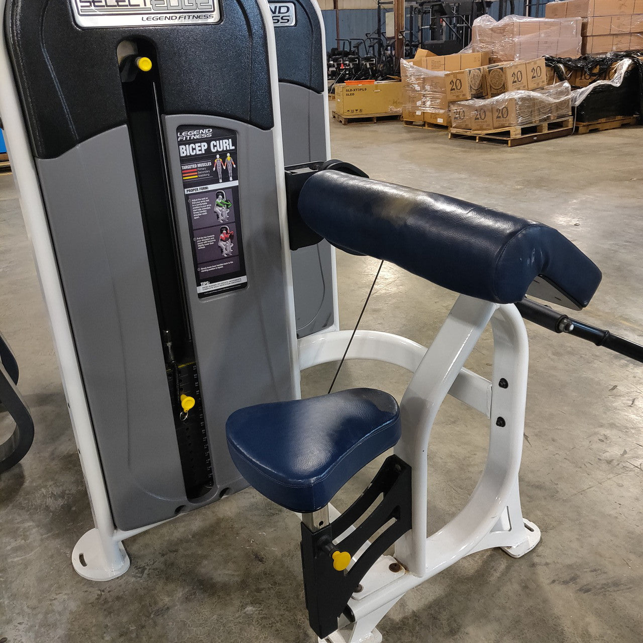 Legend Fitness SelectEDGE Bicep Curl