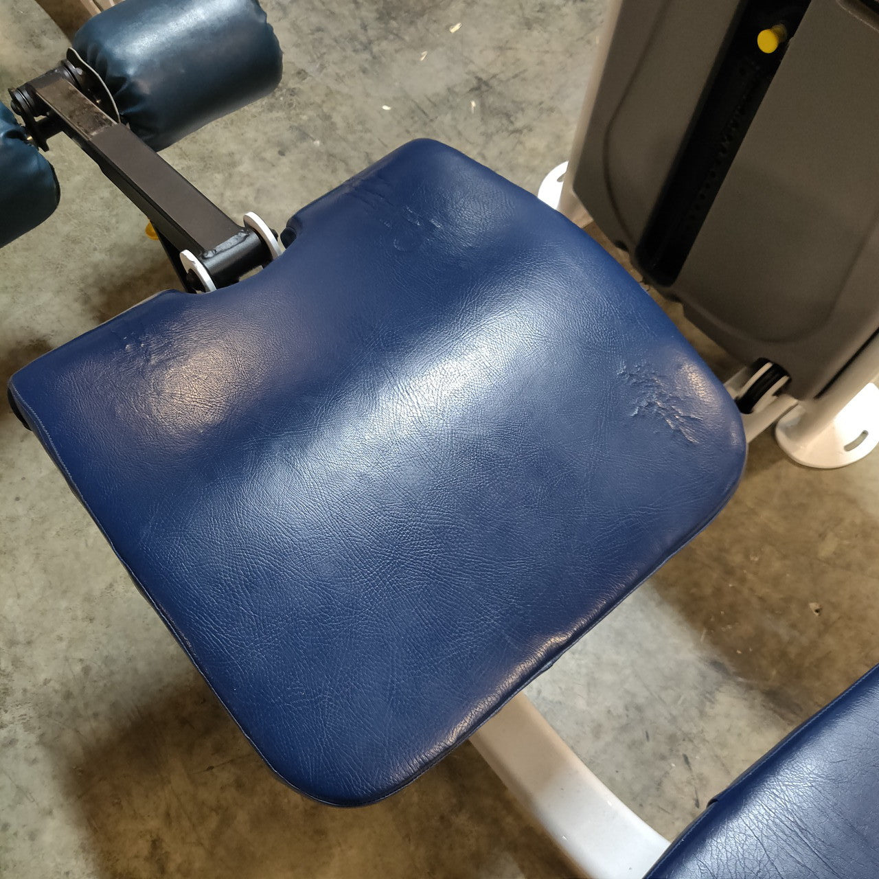 Legend Fitness SelectEDGE Hamstring Curl