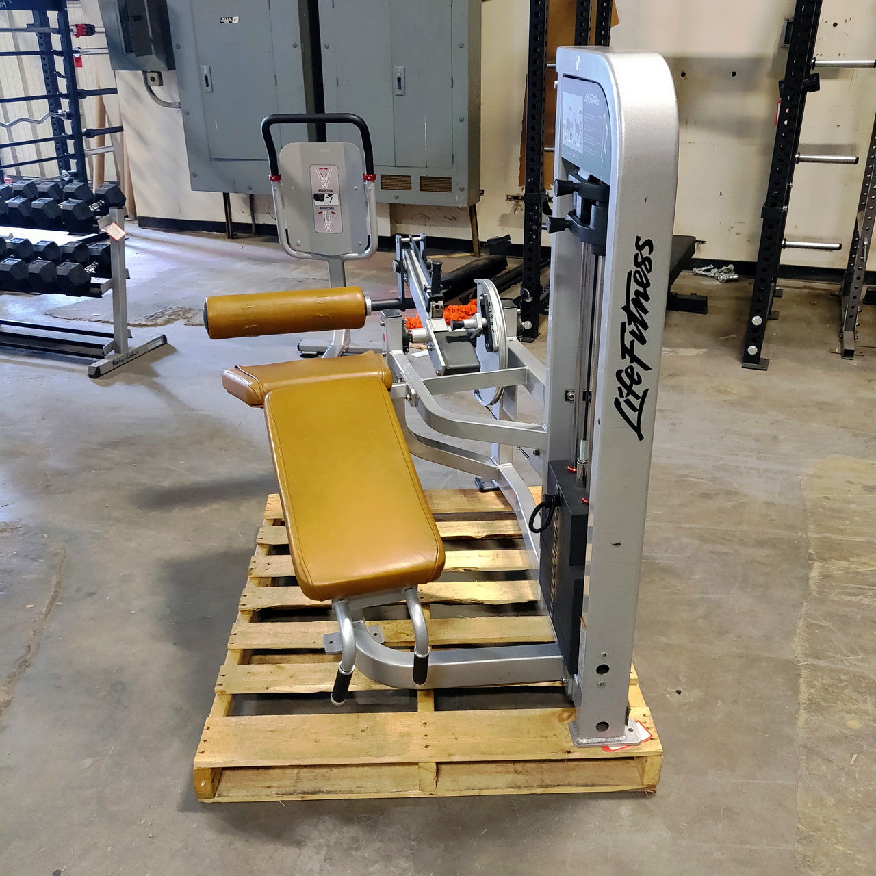 Life Fitness Prone Lying Leg Curl Pro2 Series