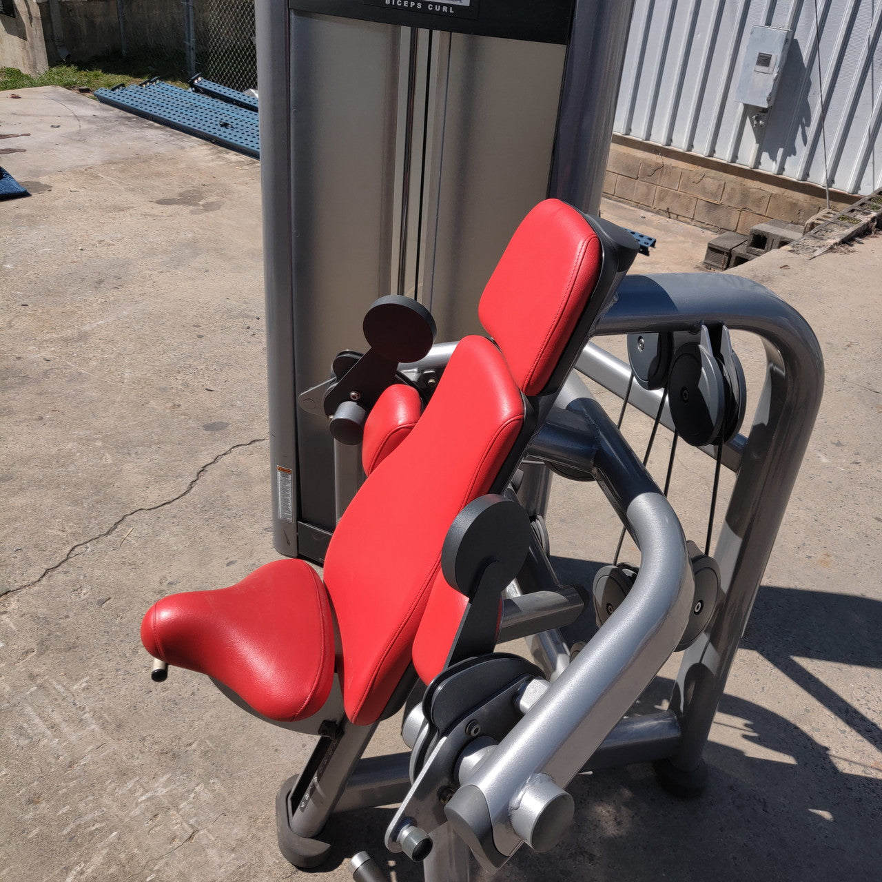 Life Fitness Signature Bicep Curl