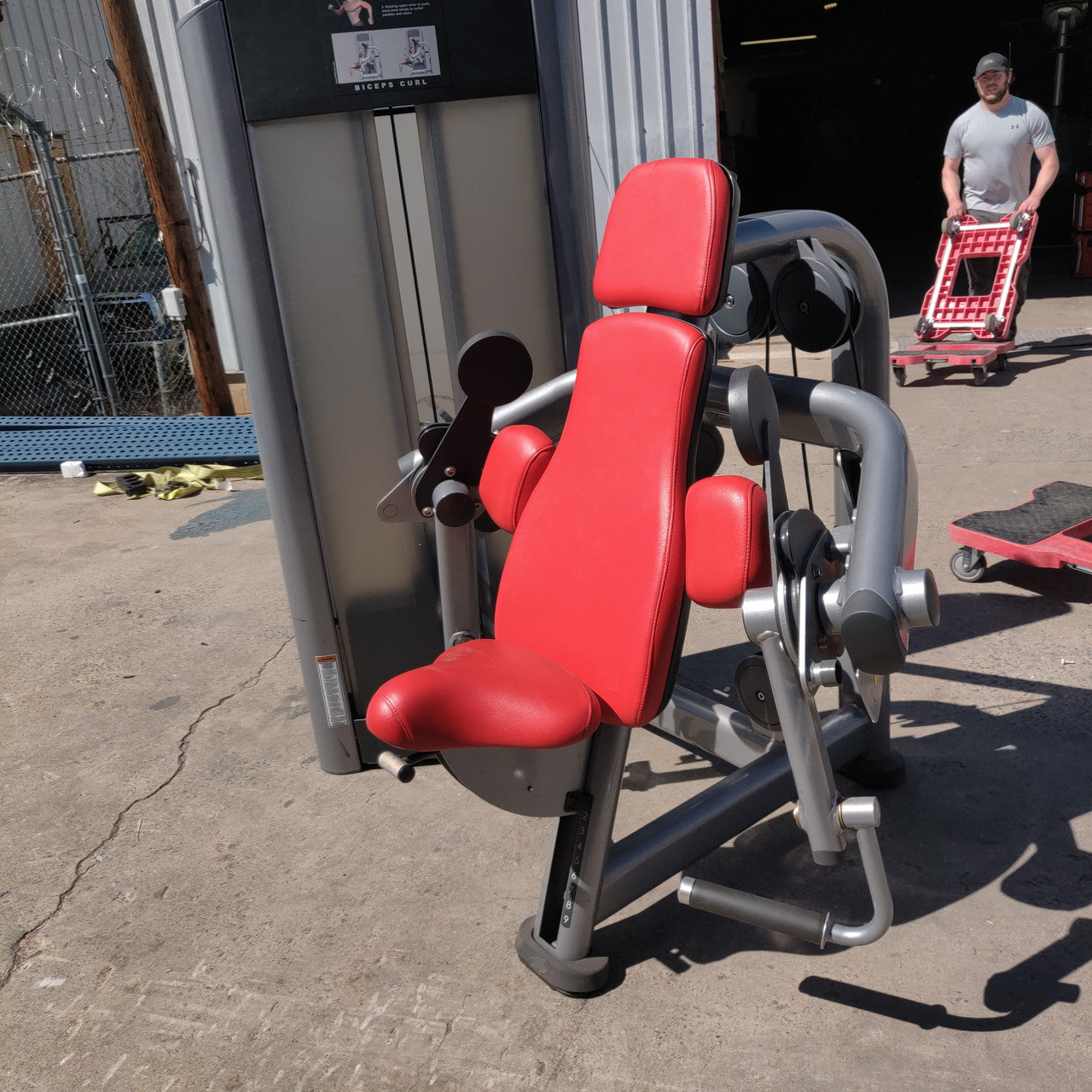 Life Fitness Signature Bicep Curl