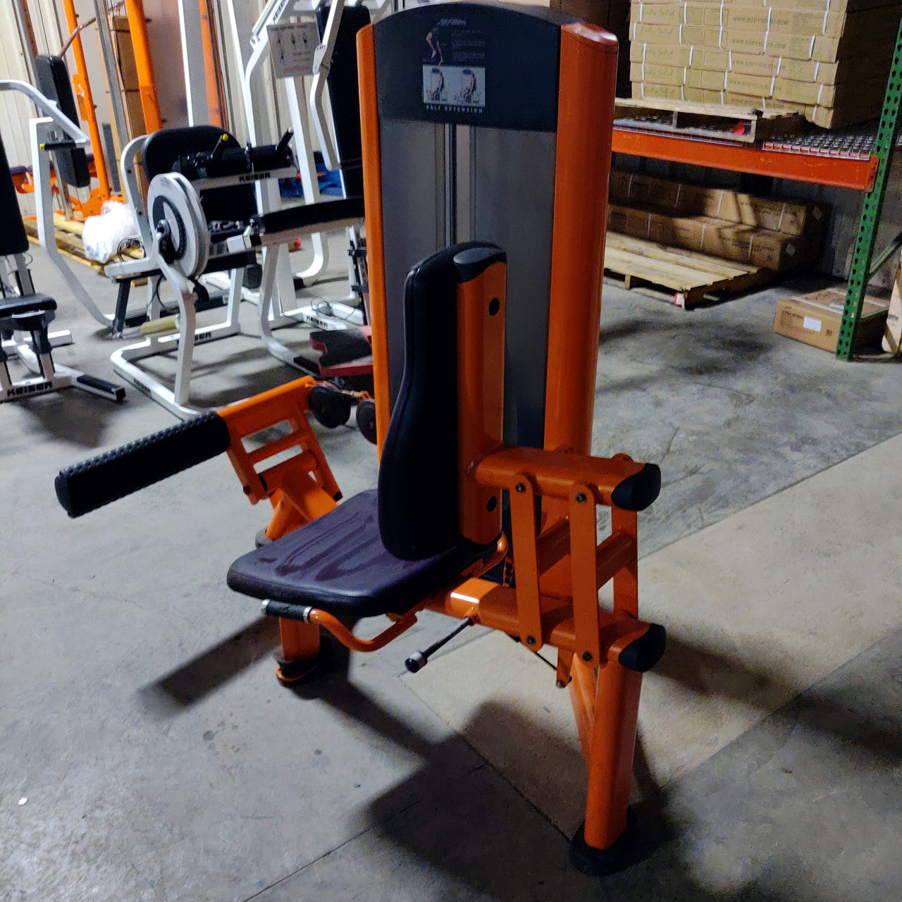 Life Fitness Signature Calf Raise