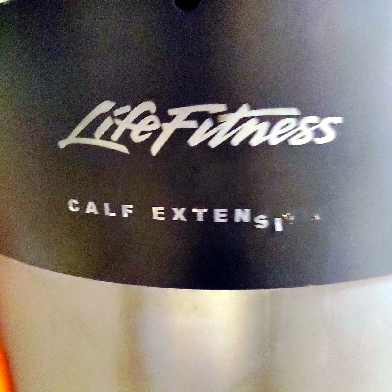 Life Fitness Signature Calf Raise
