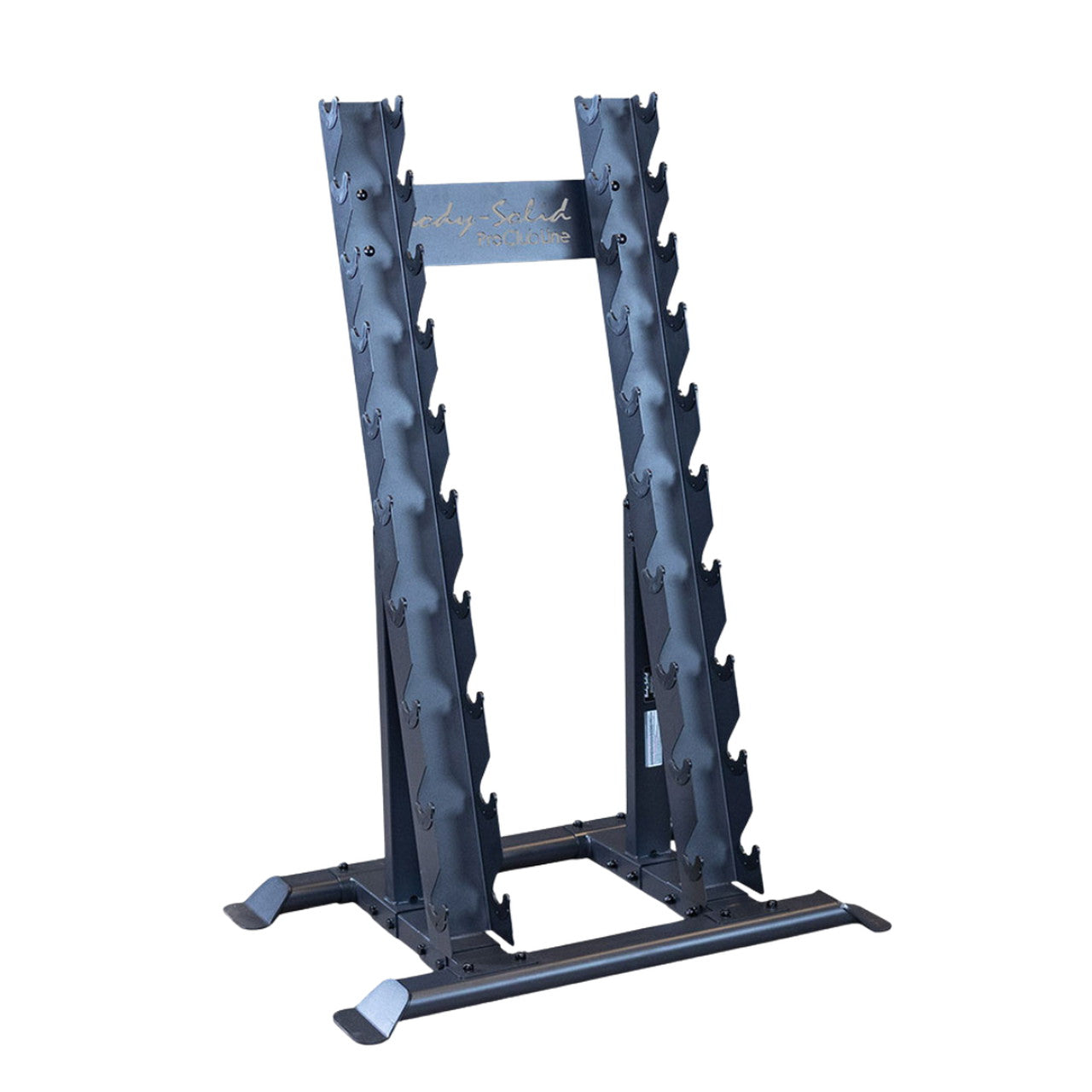 NEW Body-Solid Pro ClubLine SRD300 Vertical Dumbbell Rack