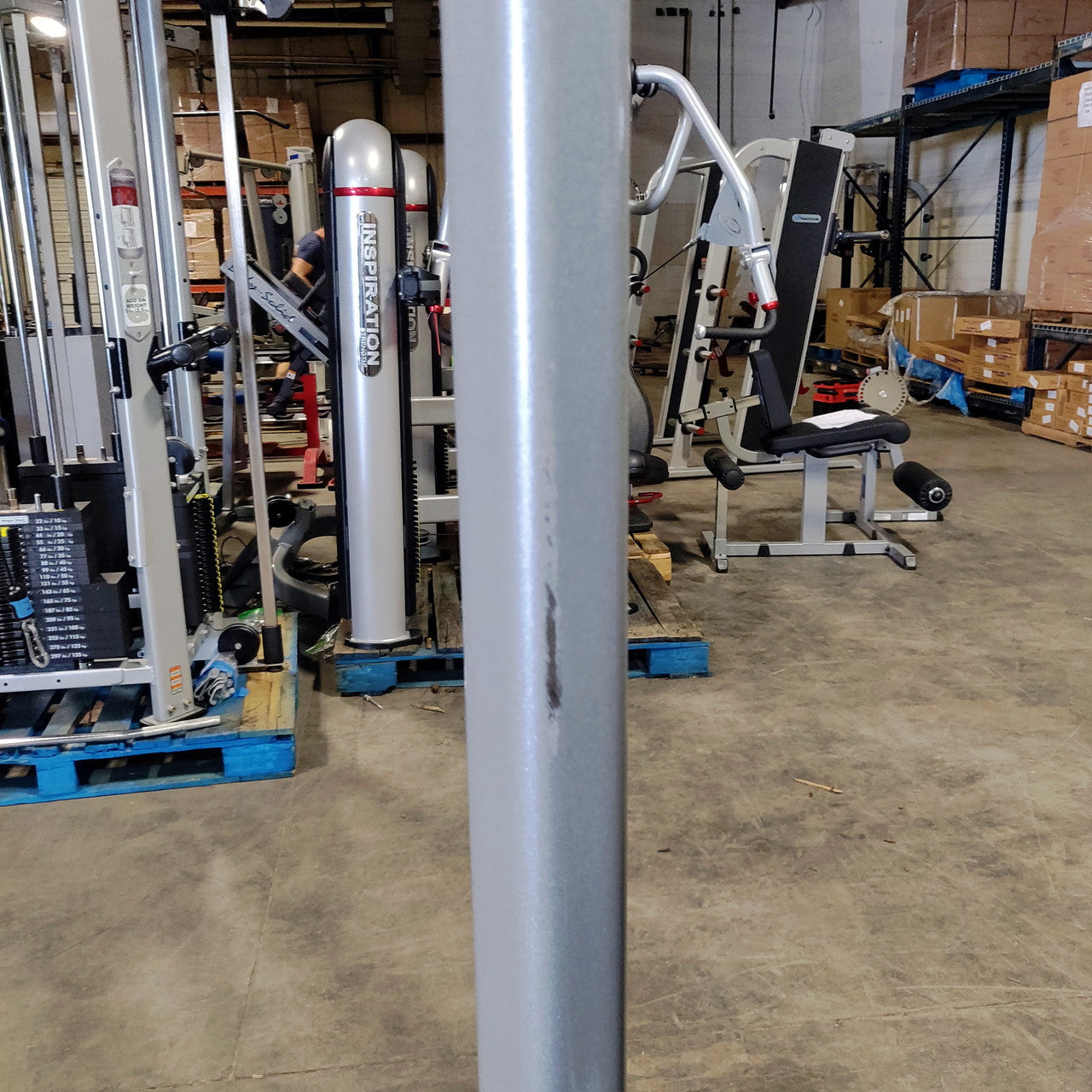 Nautilus Assisted Dip Machine (1 Year Old!)