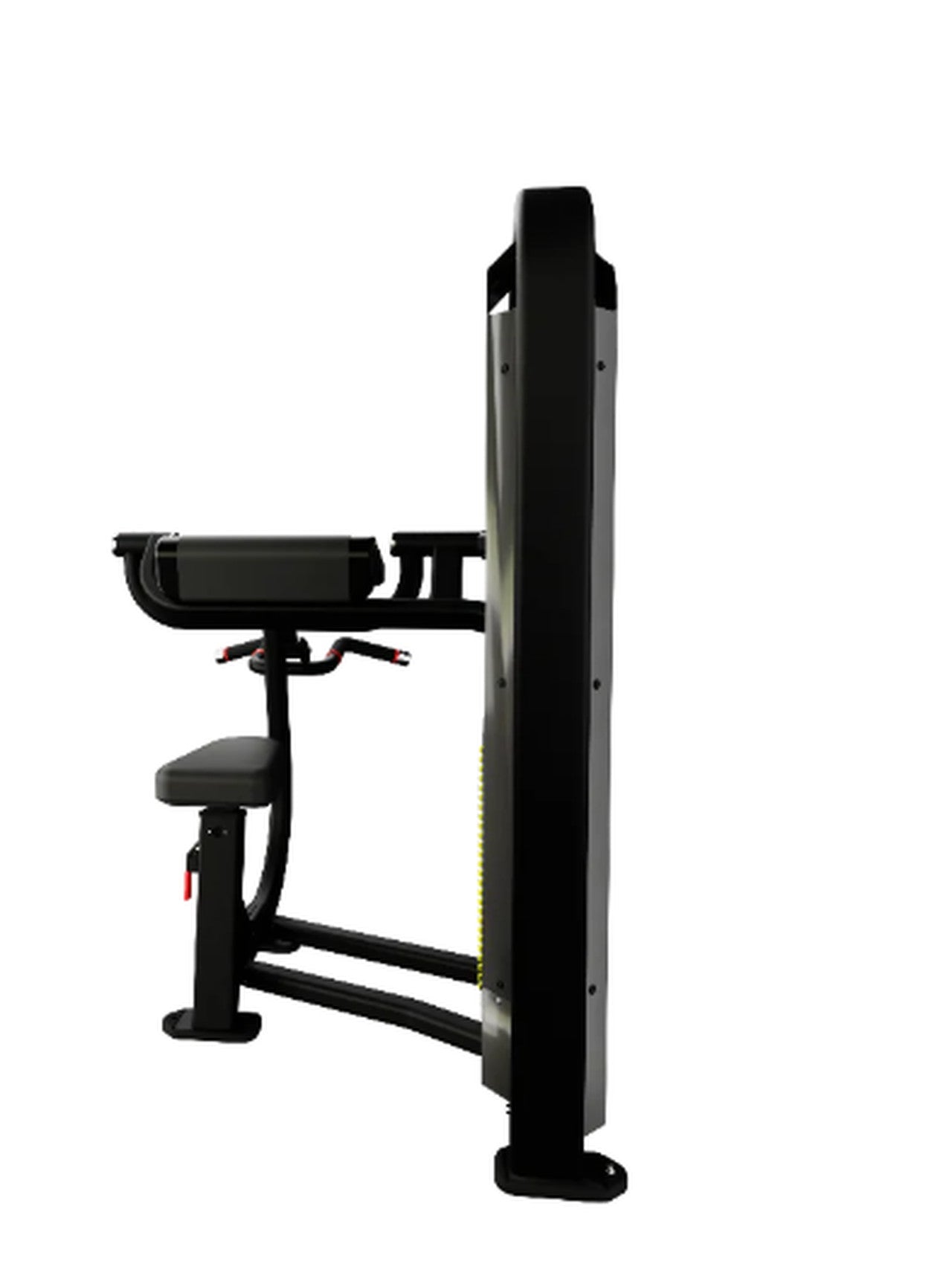 Nautilus Impact Biceps Curl