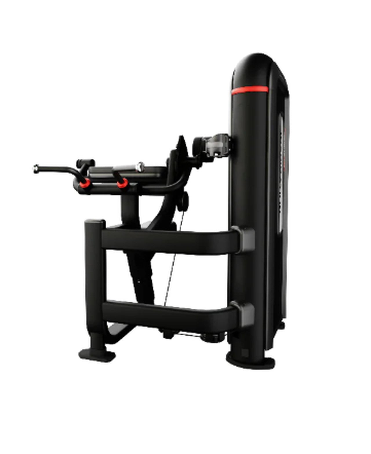 Nautilus Inspiration Bilateral Arm Curl