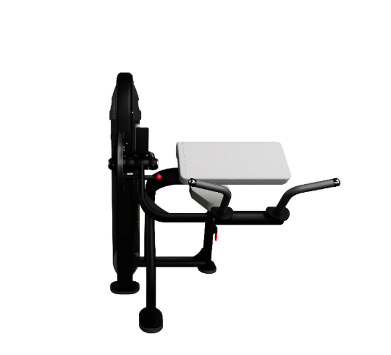 Nautilus Instinct Dual Biceps Curl/Triceps Extension