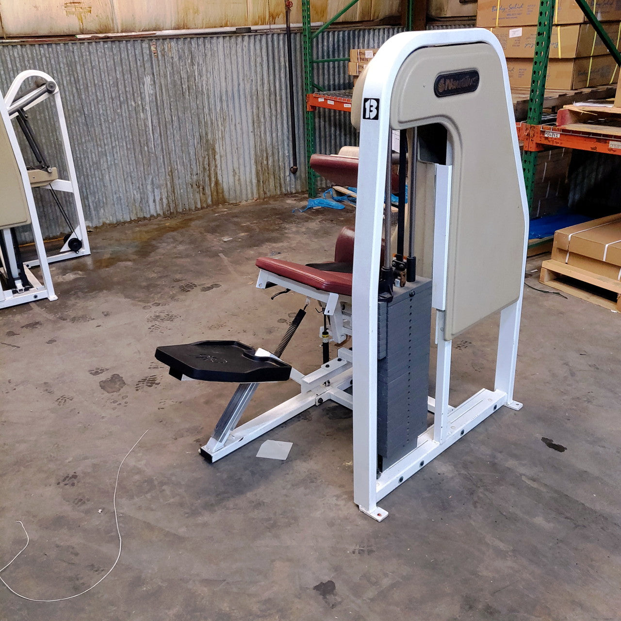 Nautilus Lower Back Extension 2ST Oldschool Strength Machine