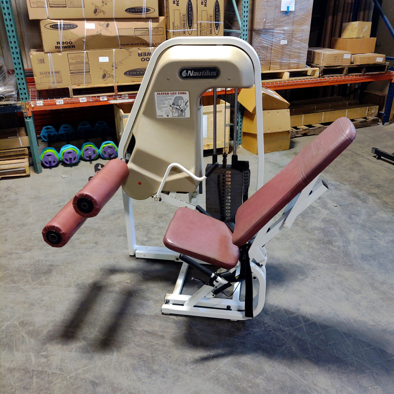 Nautilus Seated Leg Curl 2ST Oldschool