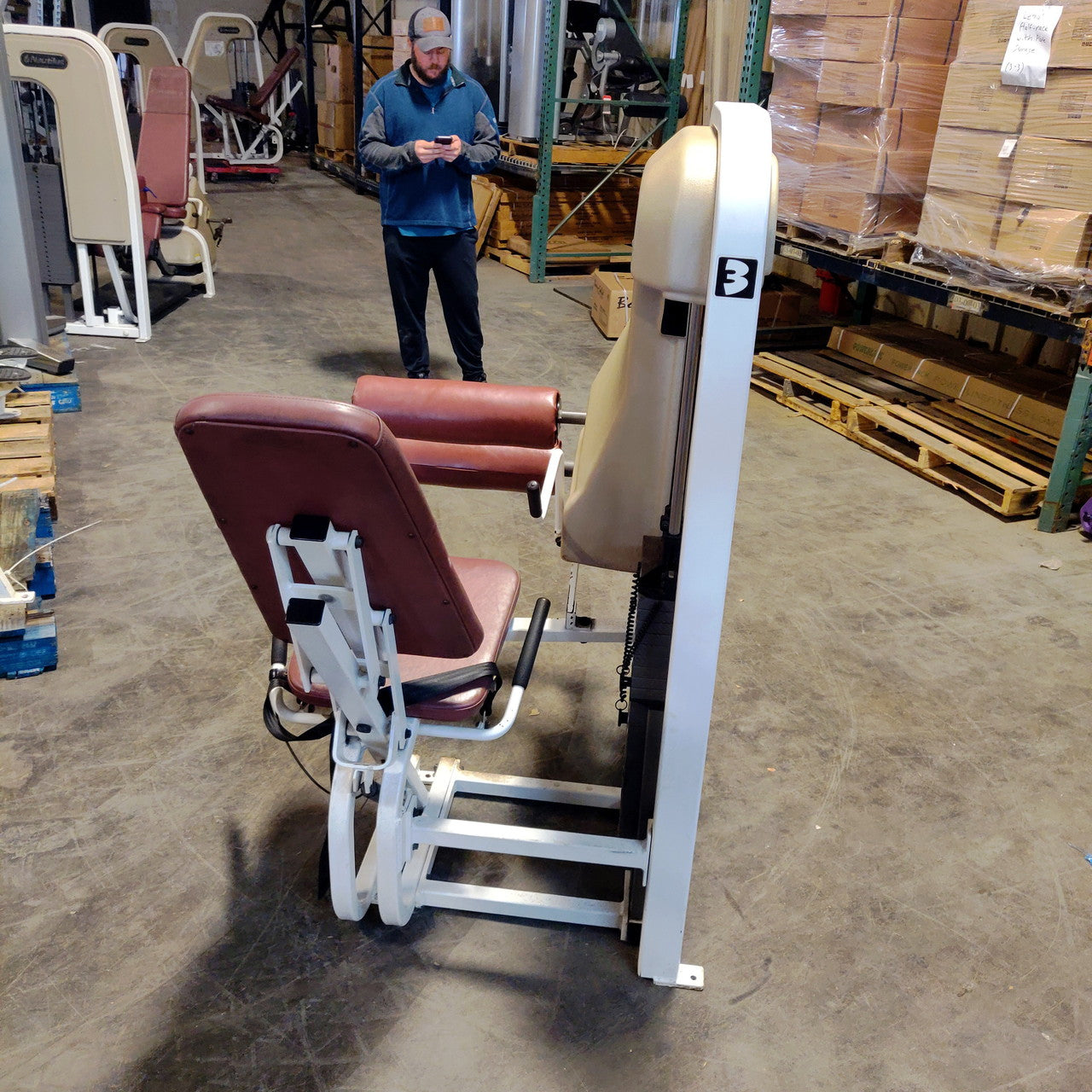 Nautilus Seated Leg Curl 2ST Oldschool