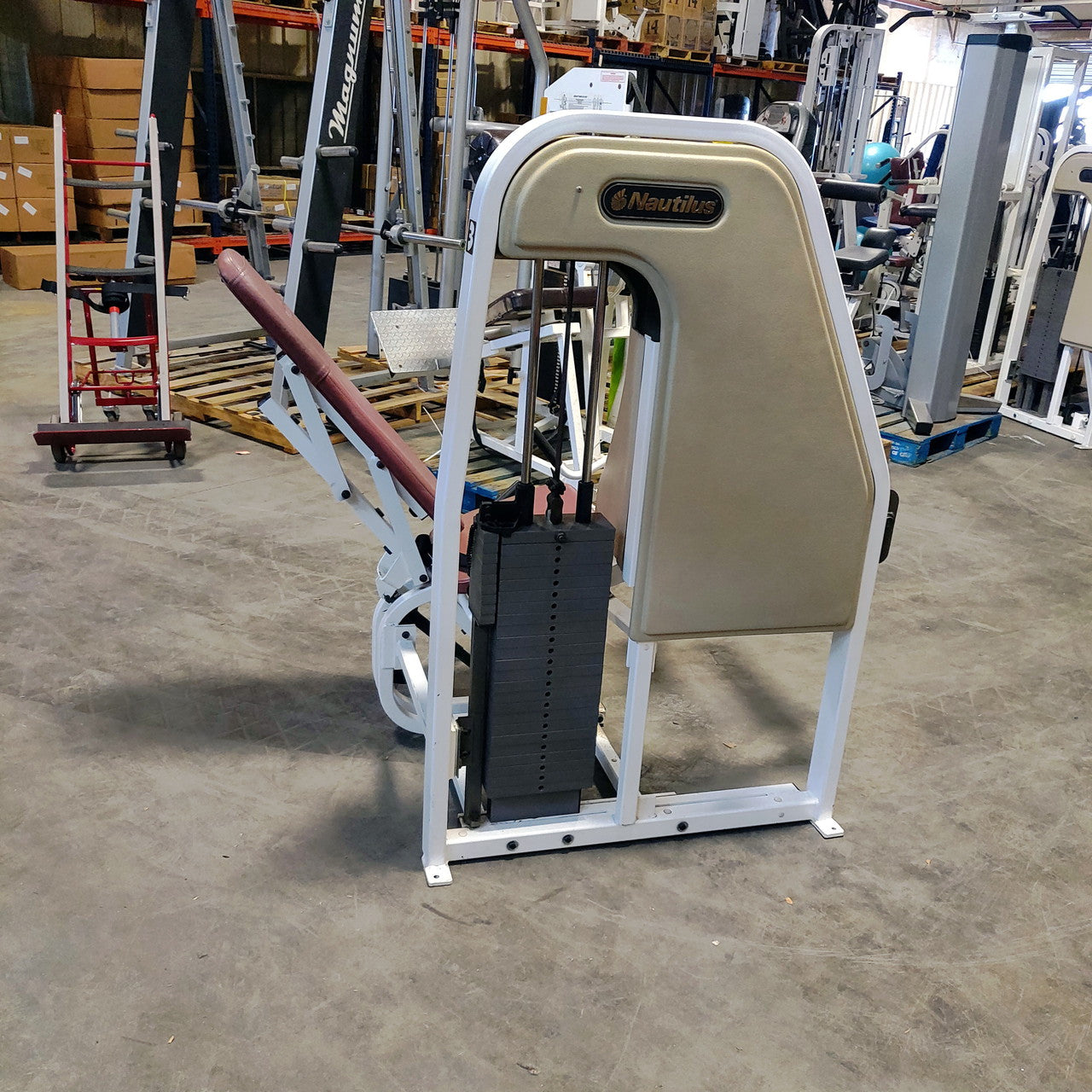 Nautilus Seated Leg Curl 2ST Oldschool