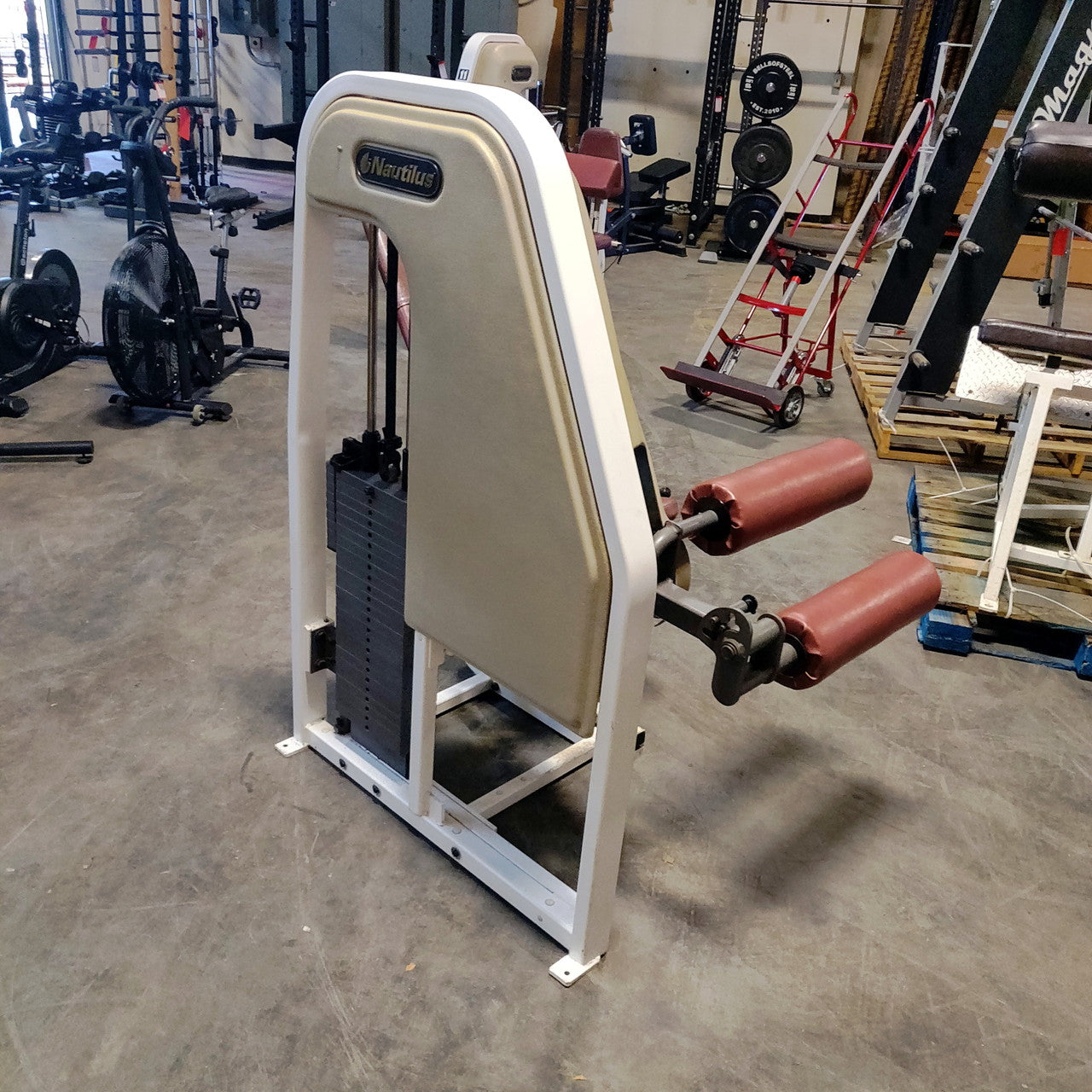 Nautilus Seated Leg Curl 2ST Oldschool