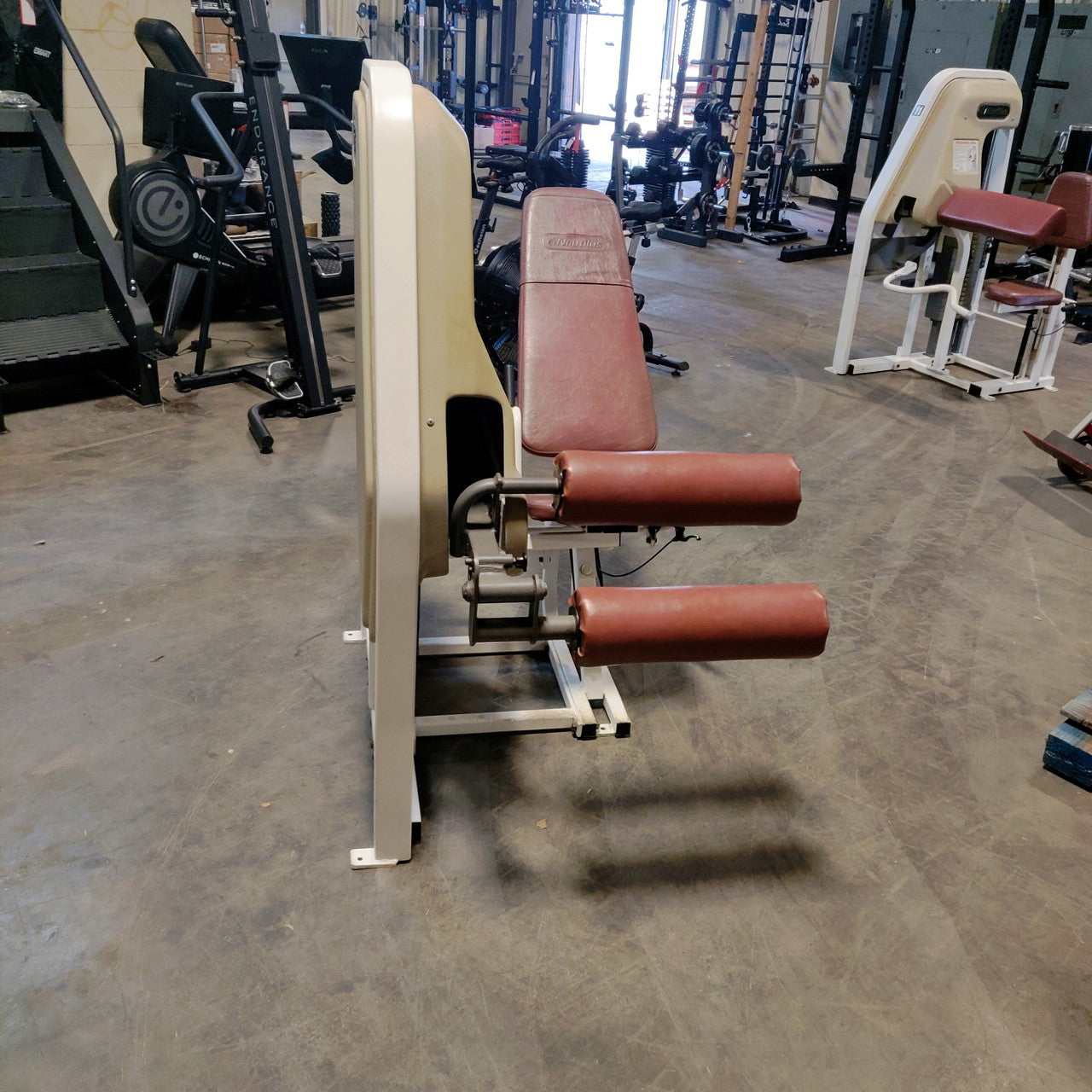 Nautilus Seated Leg Curl 2ST Oldschool