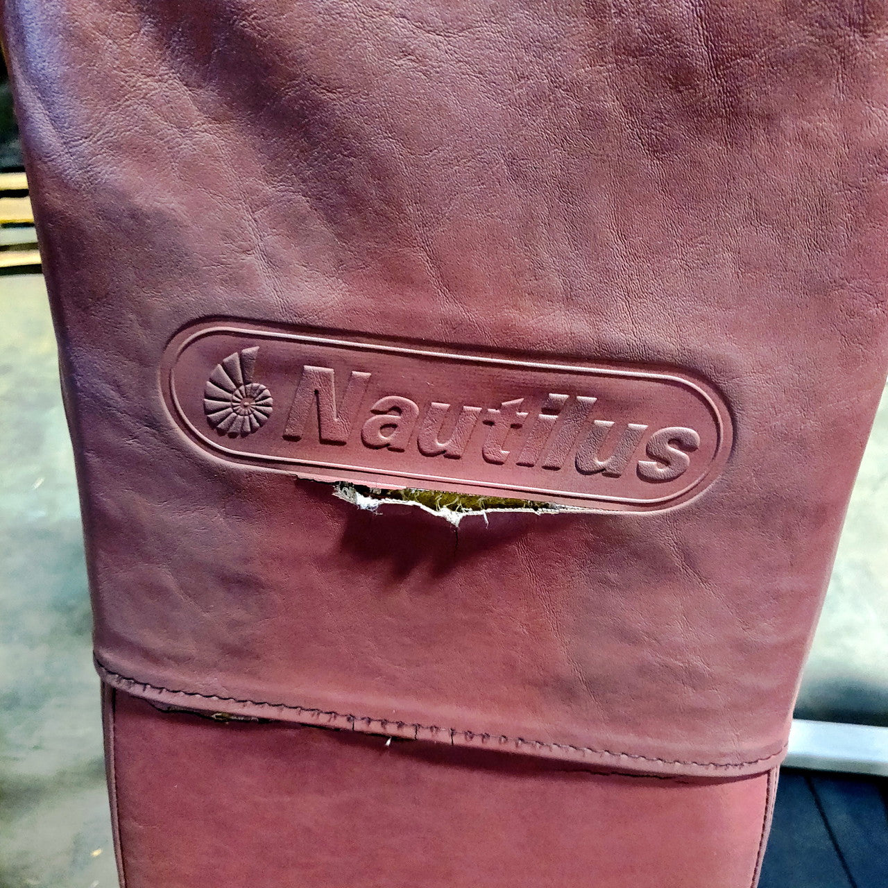 Nautilus Seated Leg Curl 2ST Oldschool