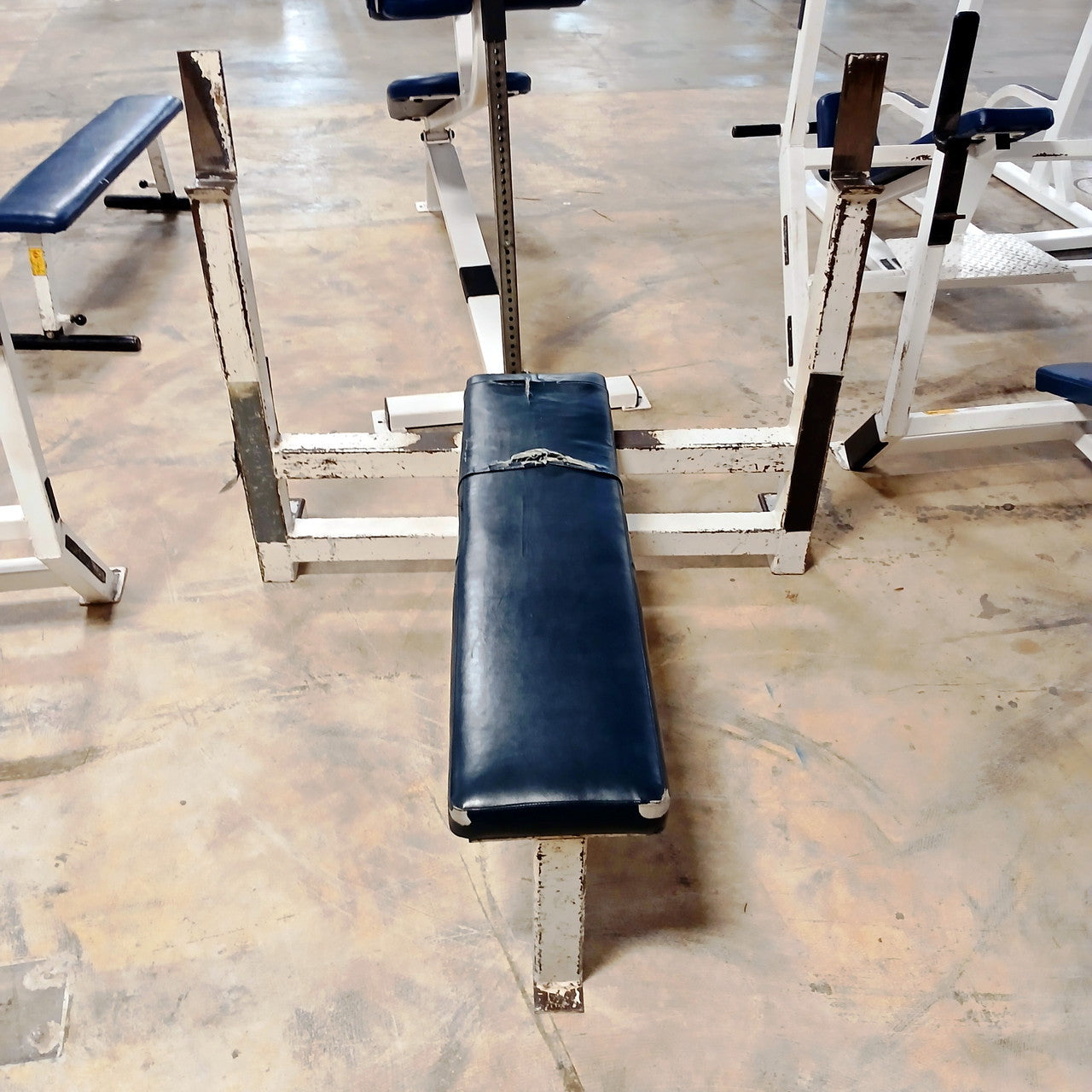 Olympic Flat Bench