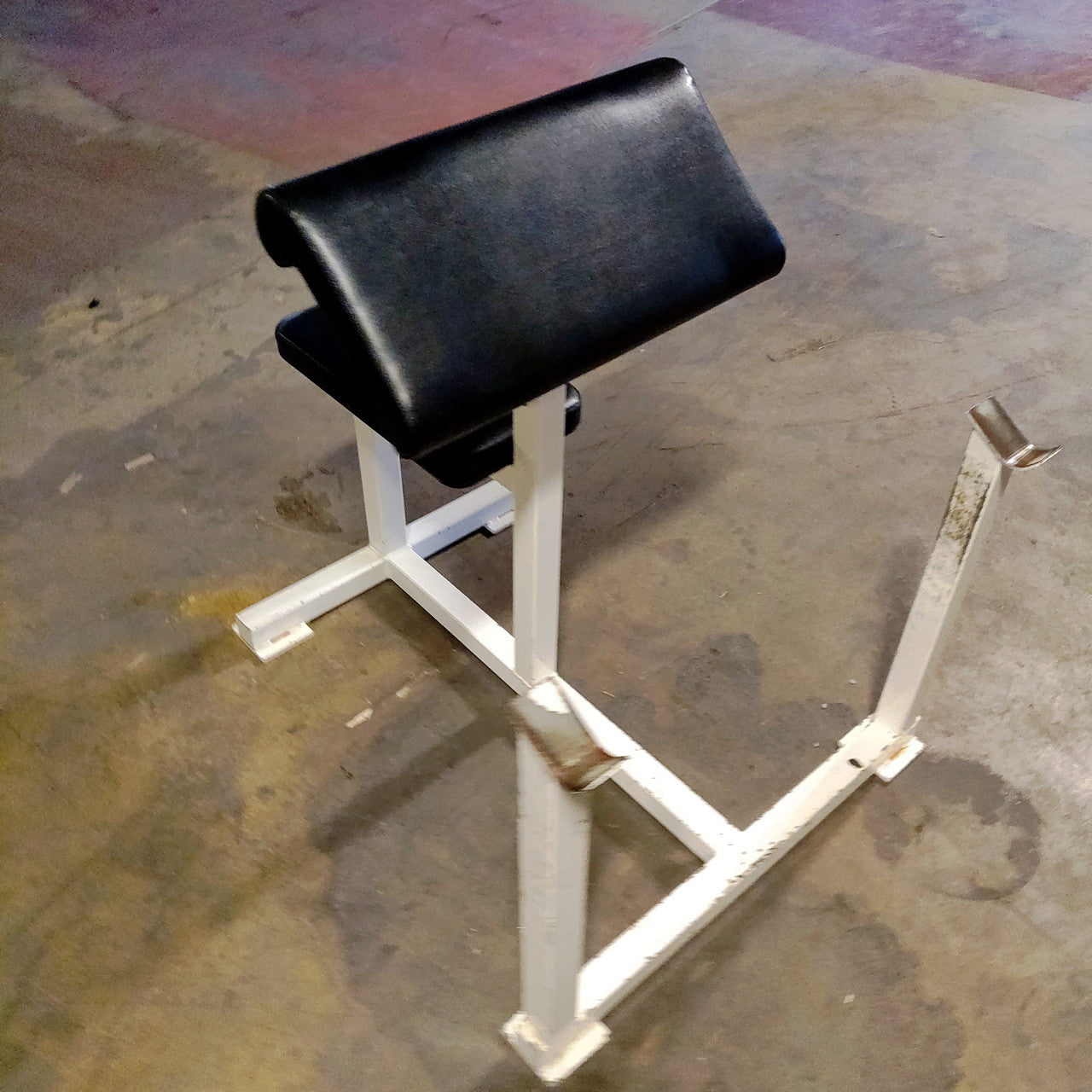Preacher Curl Bench